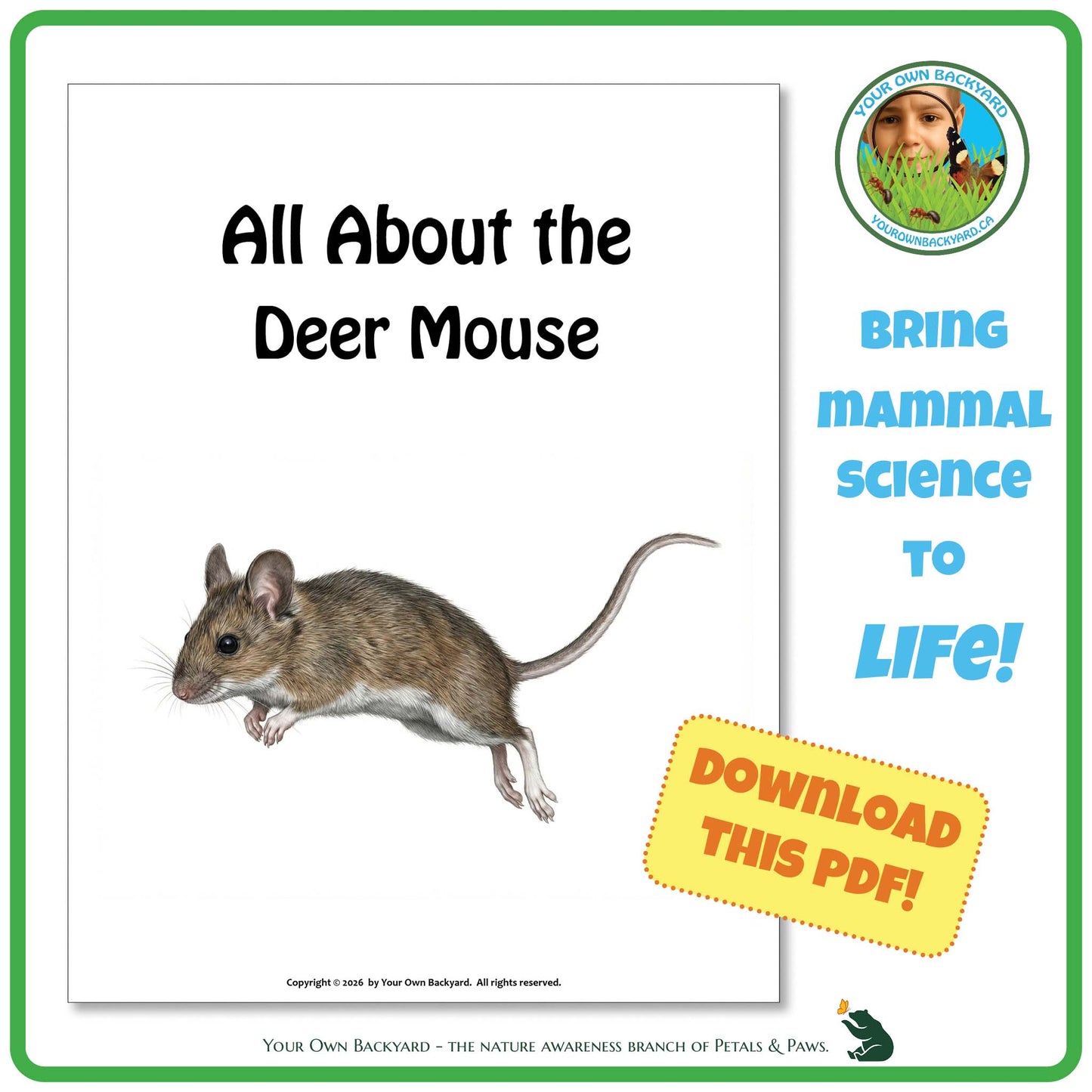 Book cover of 'All About the Deer Mouse' with a mouse illustration and promotional text.
