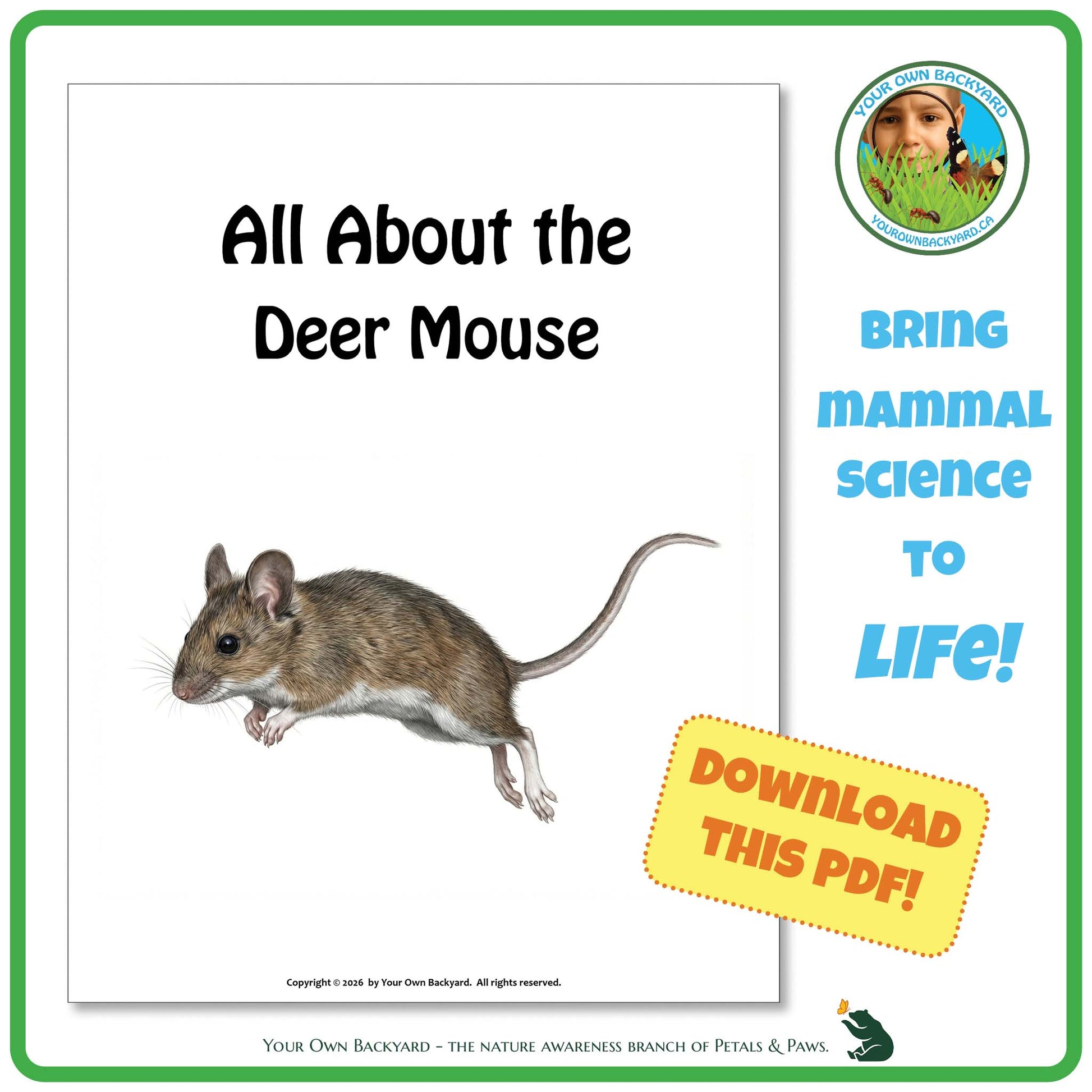Book cover of 'All About the Deer Mouse' with a mouse illustration and promotional text.
