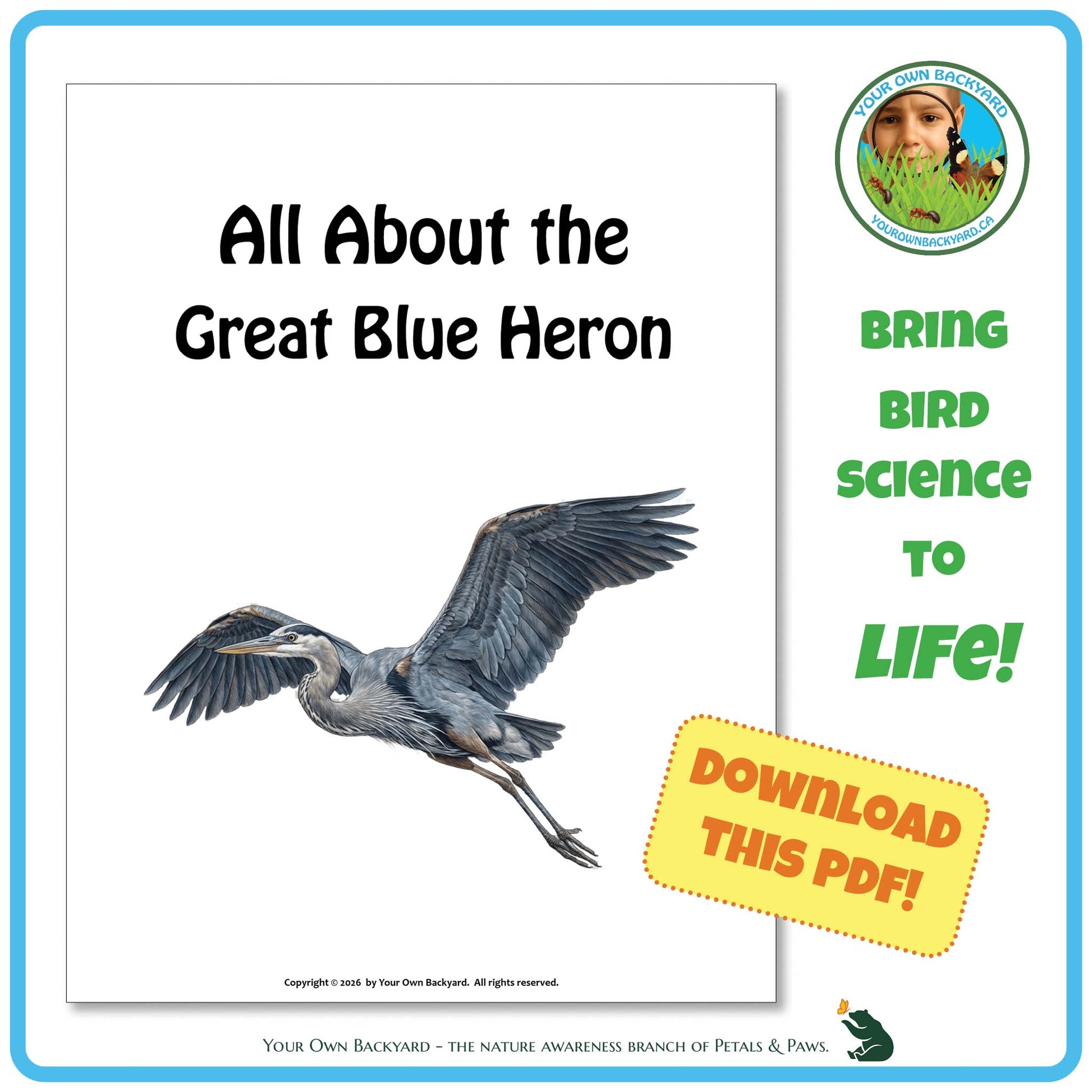 Book cover titled 'All About the Great Blue Heron' with a heron illustration and promotional text.
