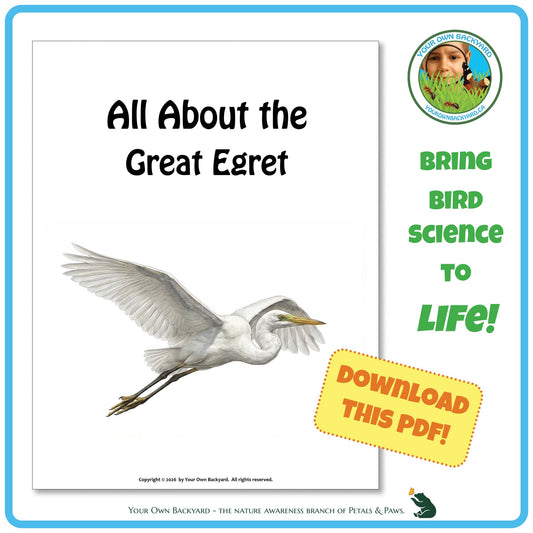Book cover titled 'All About the Great Egret' with a bird illustration and promotional text.