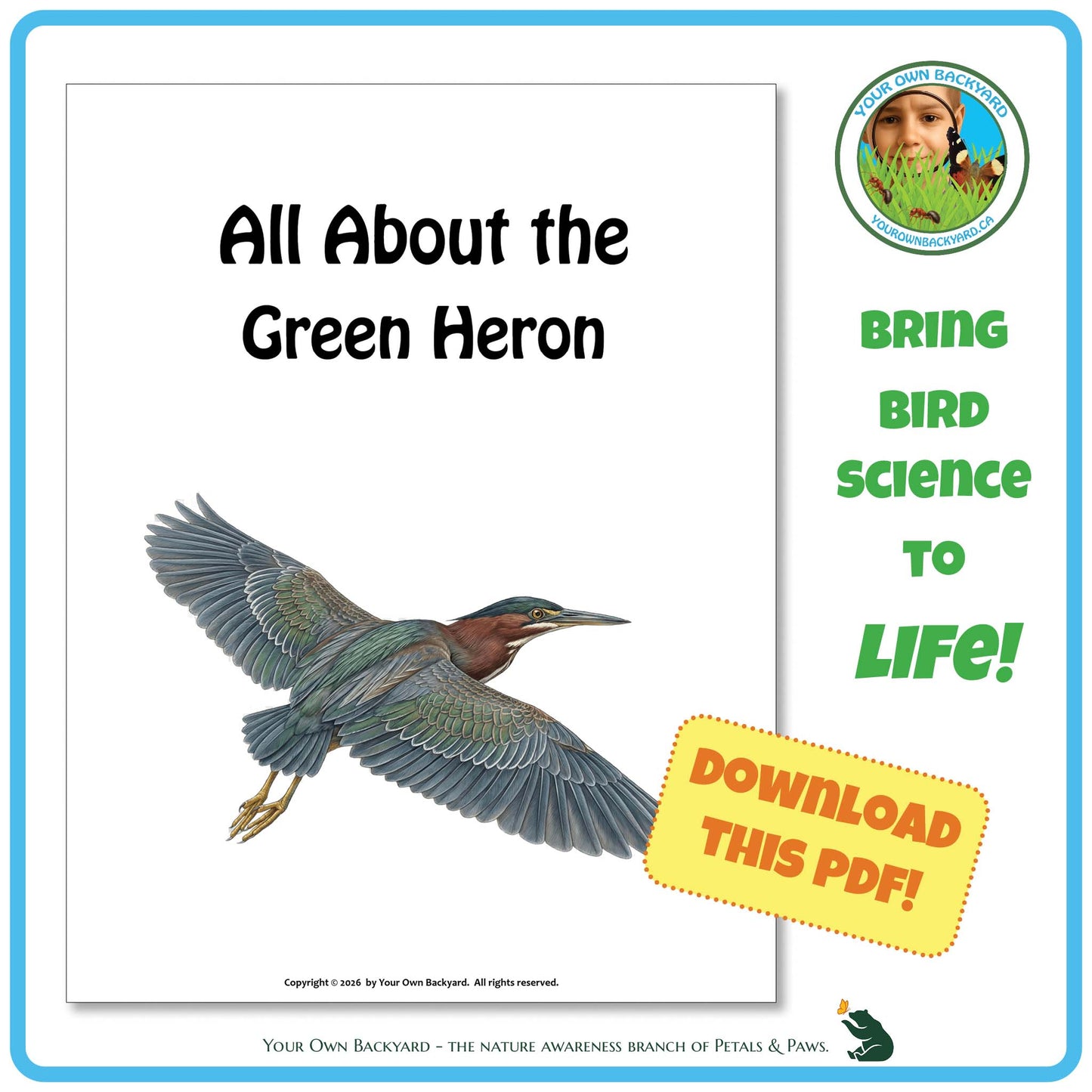 Book cover of 'All About the Green Heron' with a green heron illustration and promotional text.