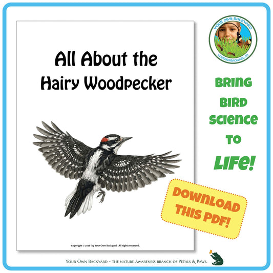 Book cover with a hairy woodpecker illustration and promotional text for bird science education.