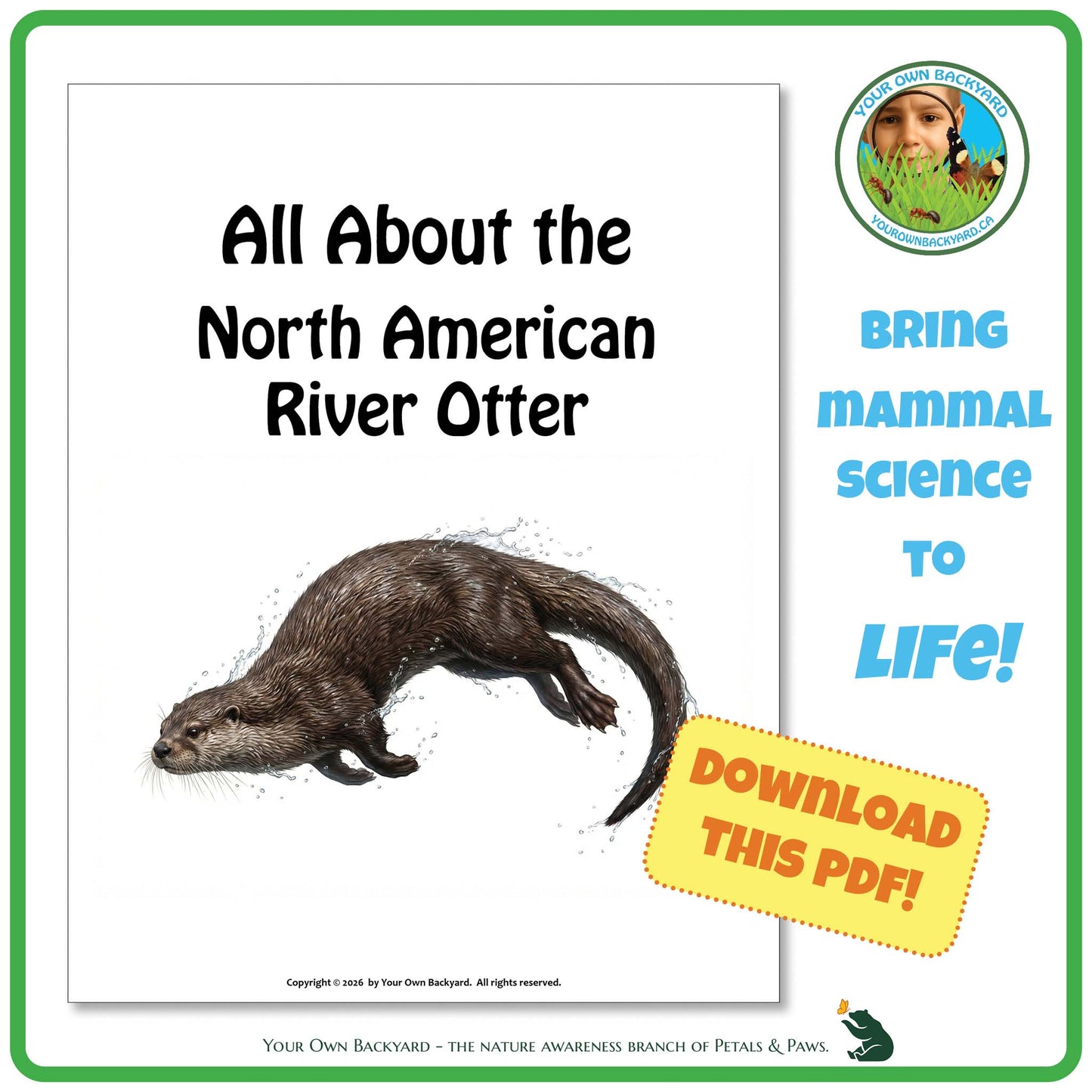 Book cover of 'All About the North American River Otter' with a porcupine illustration and promotional text.