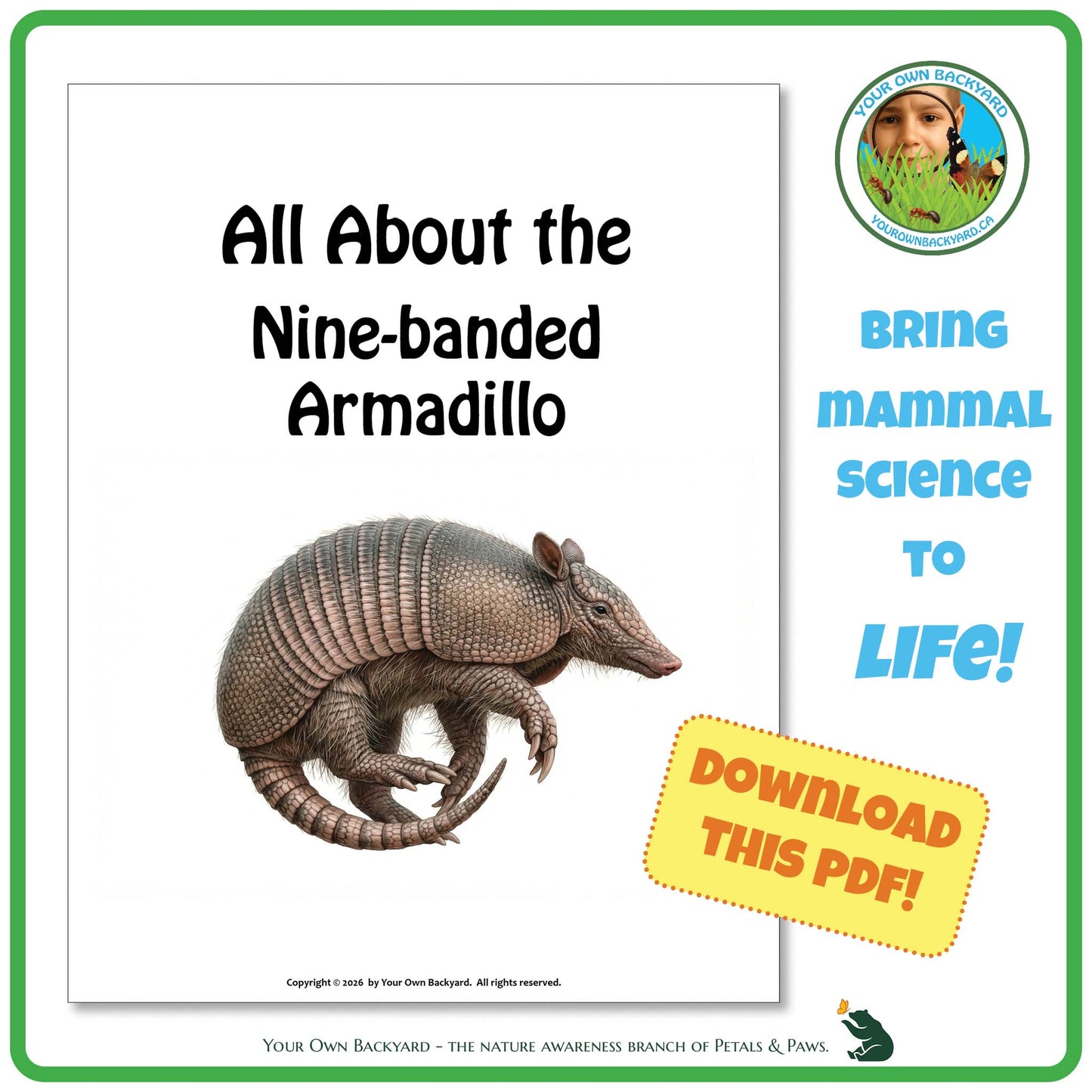 Book cover about the nine-banded armadillo with a picture of an armadillo and promotional text.