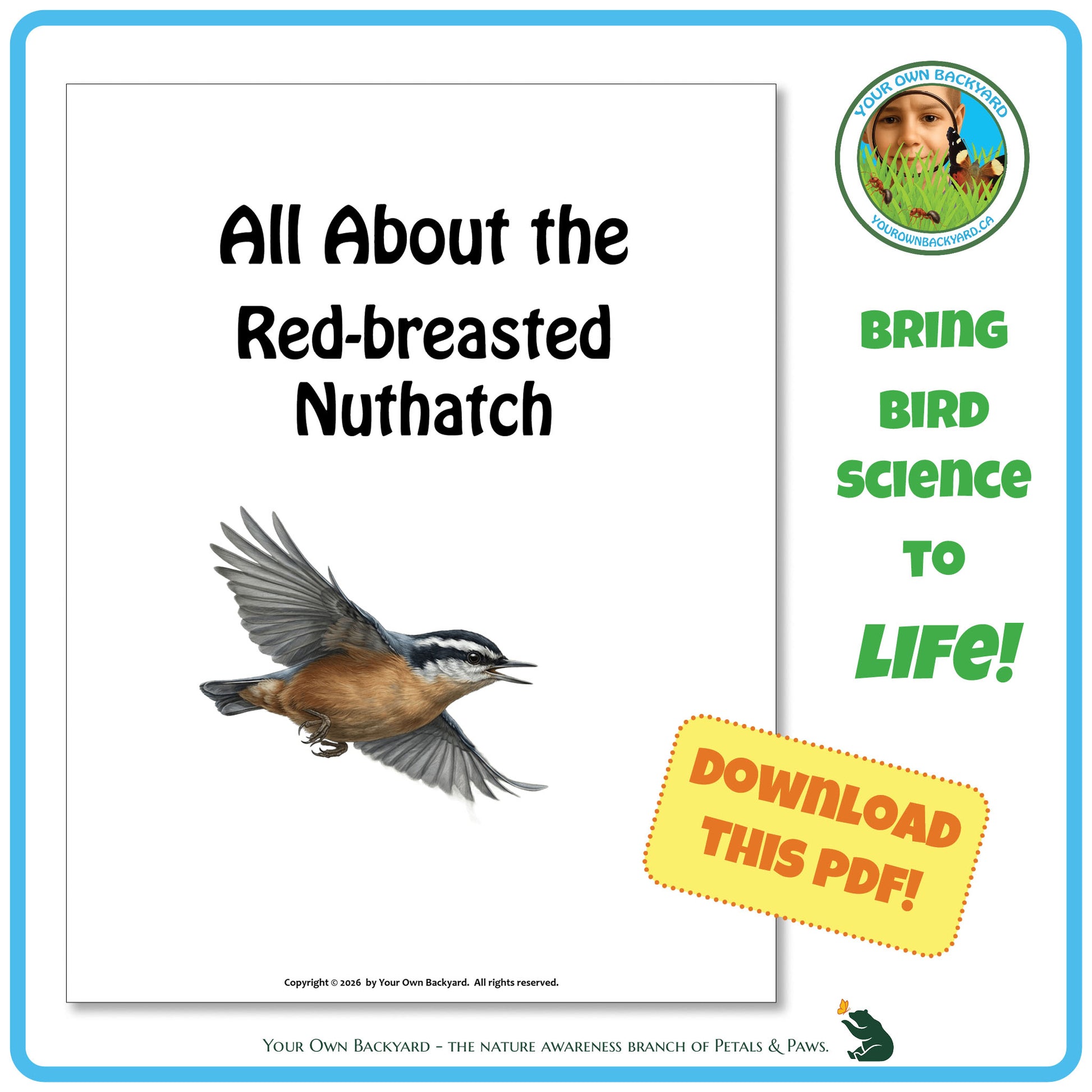 Book cover about the red-breasted nuthatch with a bird illustration and promotional text.