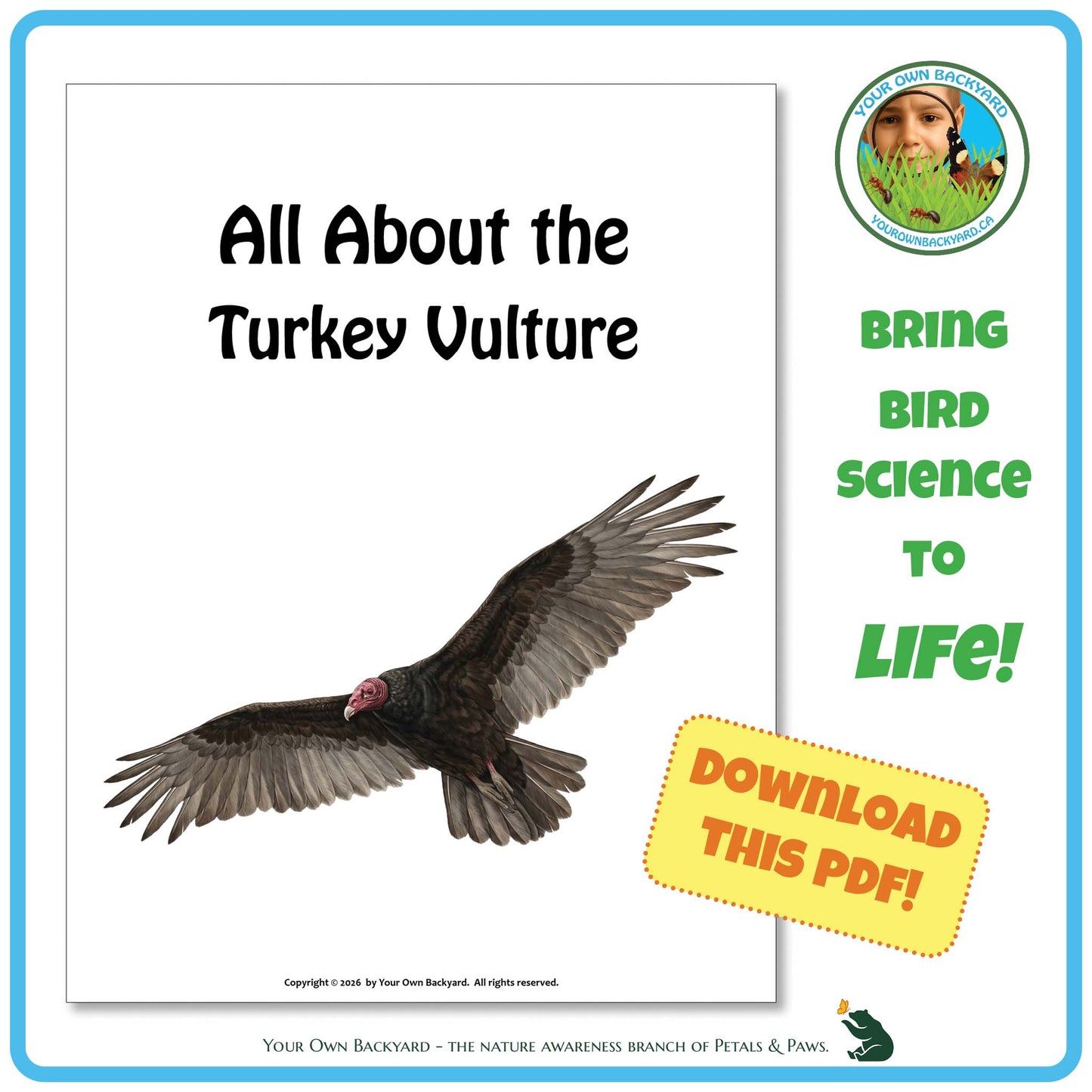 Book cover titled 'All About the Turkey Vulture' with a vulture image and promotional text.