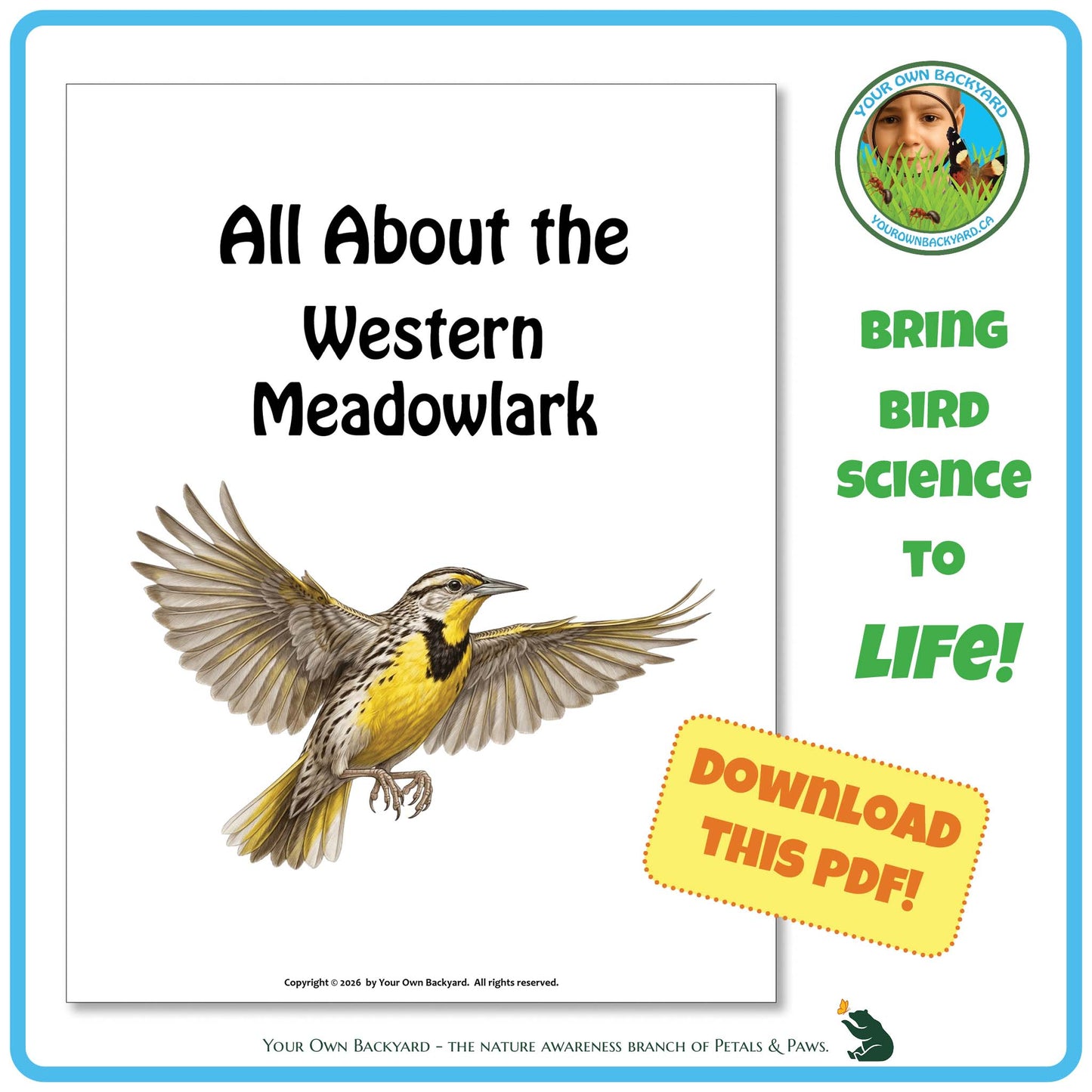 Book cover of 'All About the Western Meadowlark' with a bird illustration and promotional text.