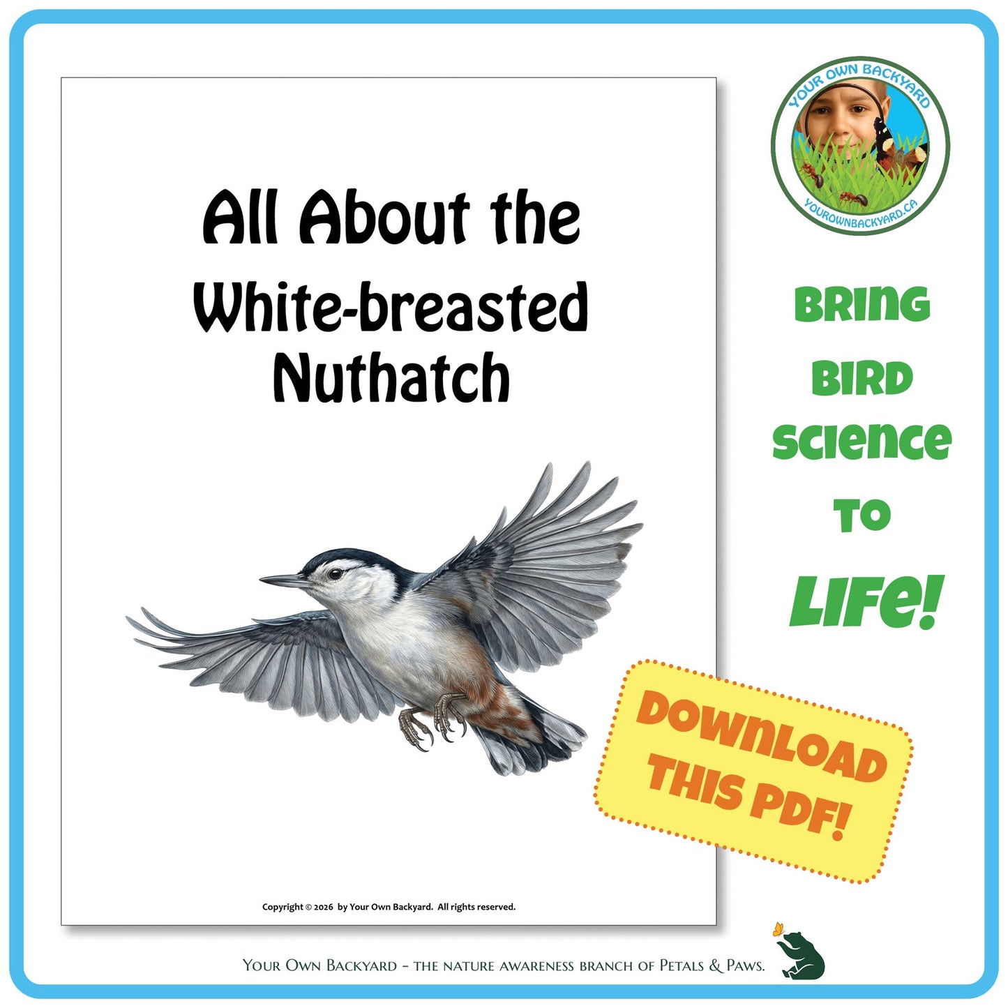 Book cover about the white-breasted nuthatch with a bird illustration and promotional text.