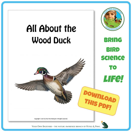 Book cover of 'All About the Wood Duck' with a flying duck illustration and promotional text.