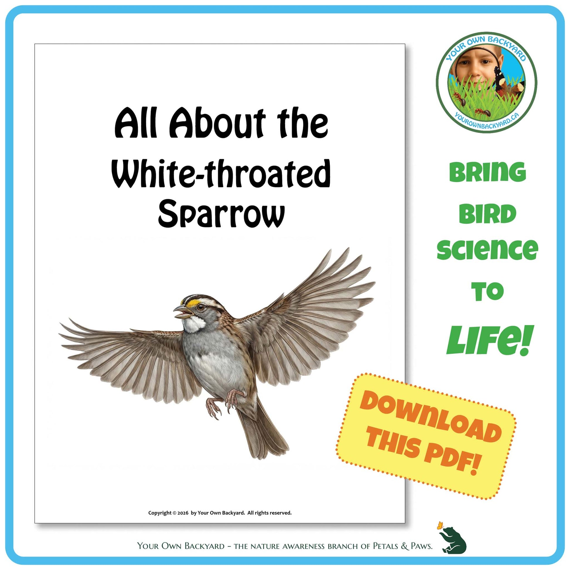 Book cover about the white-throated sparrow with a bird illustration and promotional text.