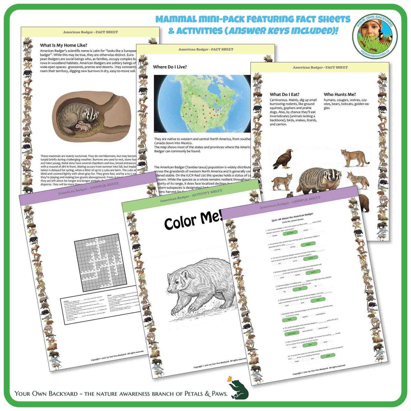 Educational materials on badger biology and habitat with coloring and activity sheets.