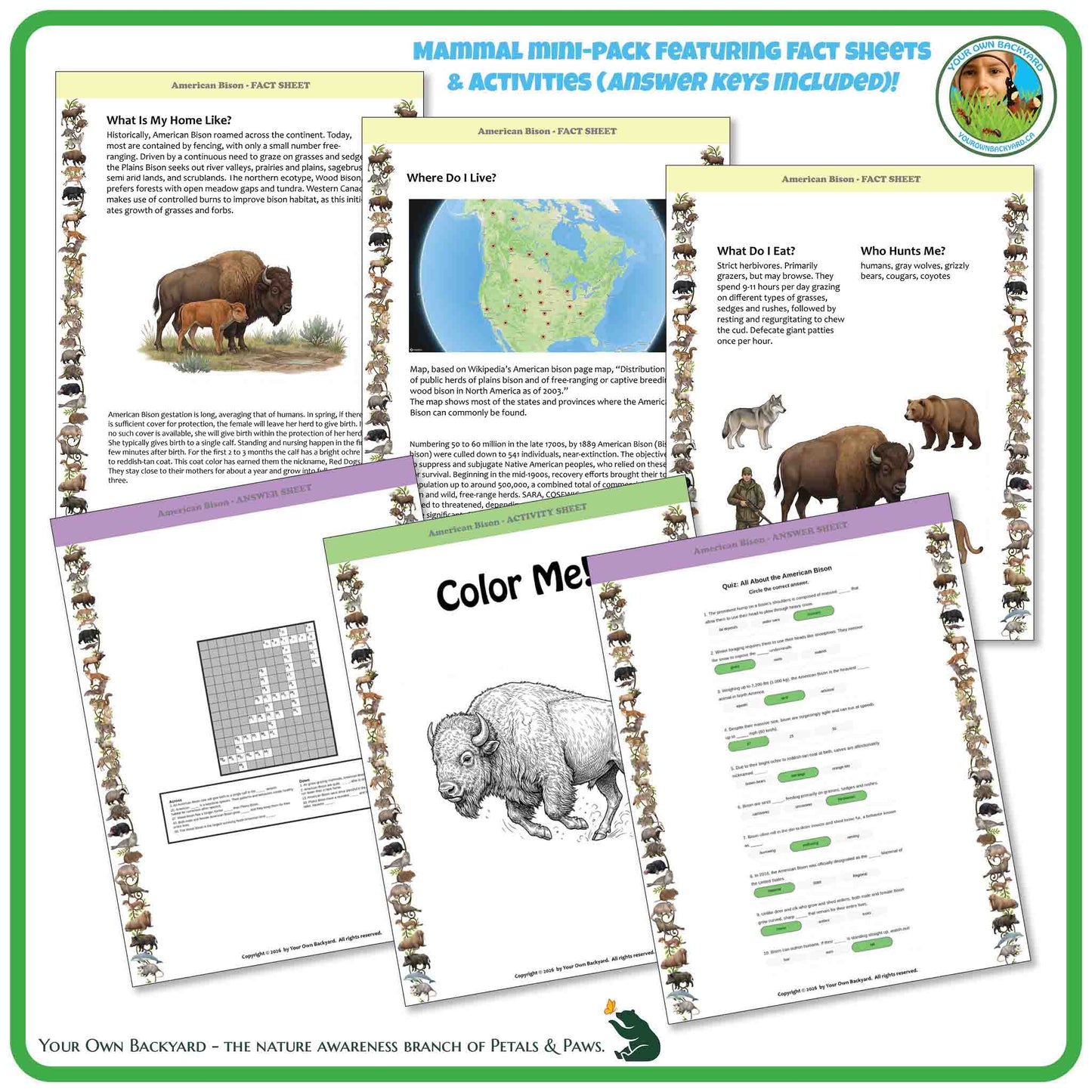 Educational materials on bison with worksheets and fact sheets.