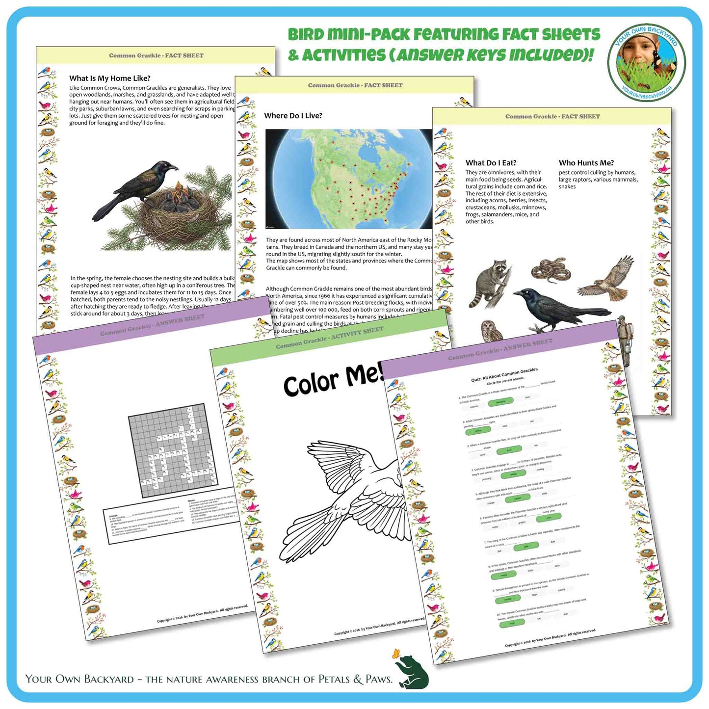 Educational materials on birds including fact sheets, coloring pages, and activities with a blue border.