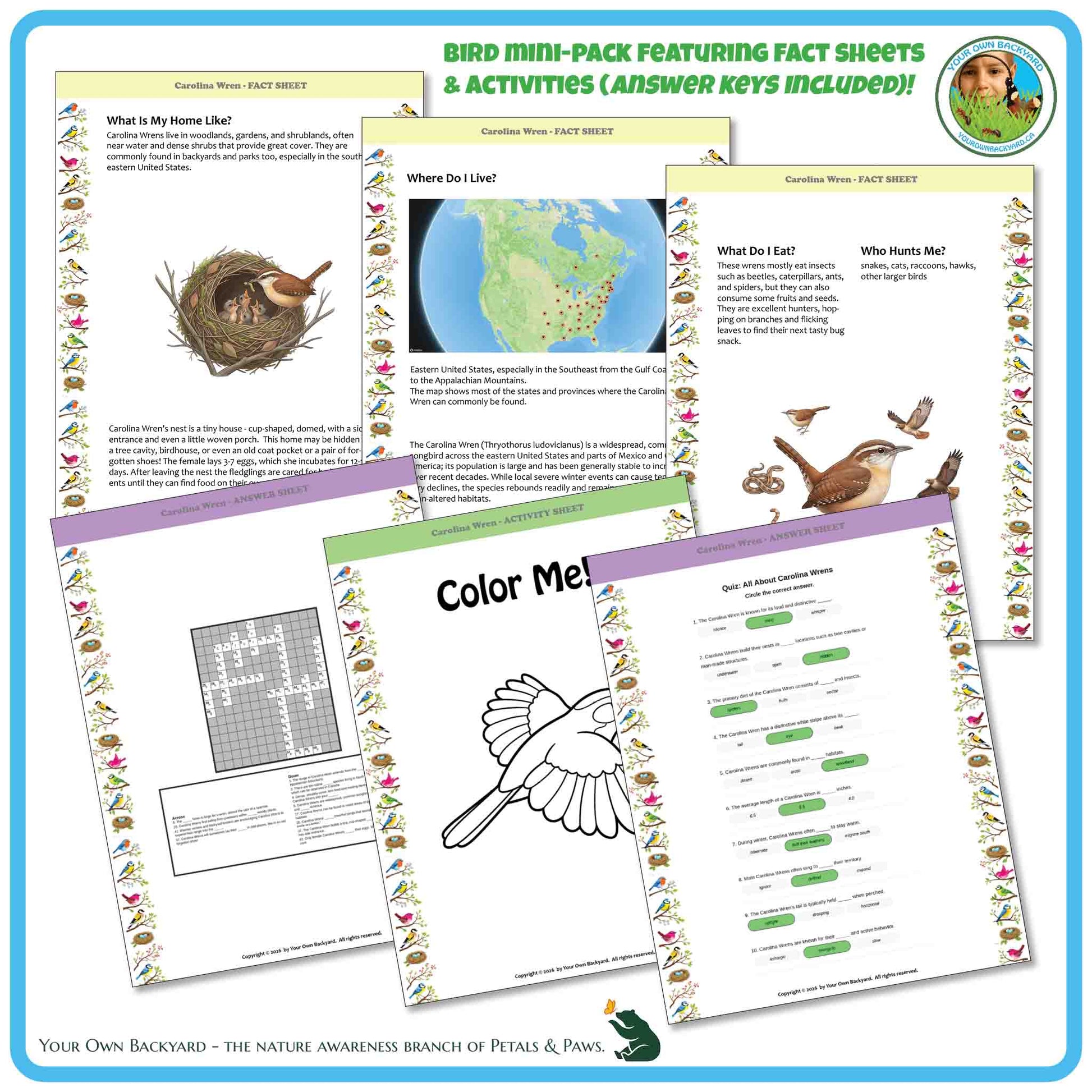 Bird mini-pack with fact sheets, activities, and coloring pages on a blue border.