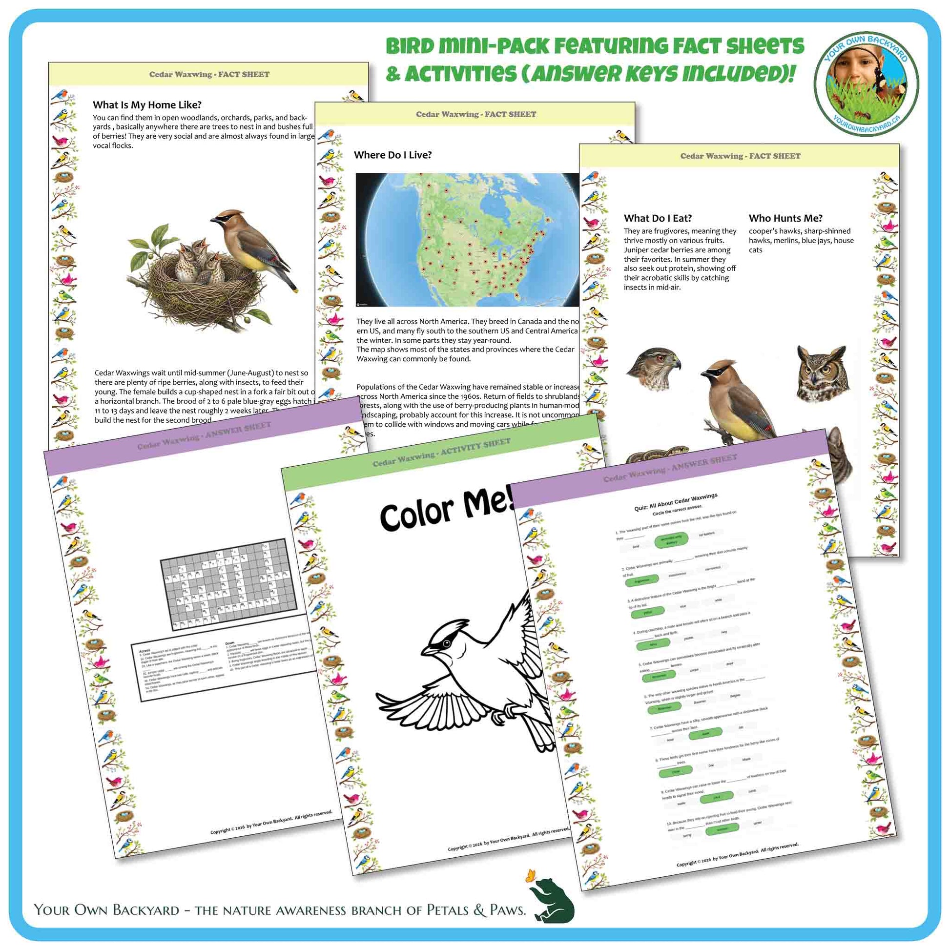 Bird-themed educational activity pack with fact sheets, coloring pages, and worksheets on a white background.