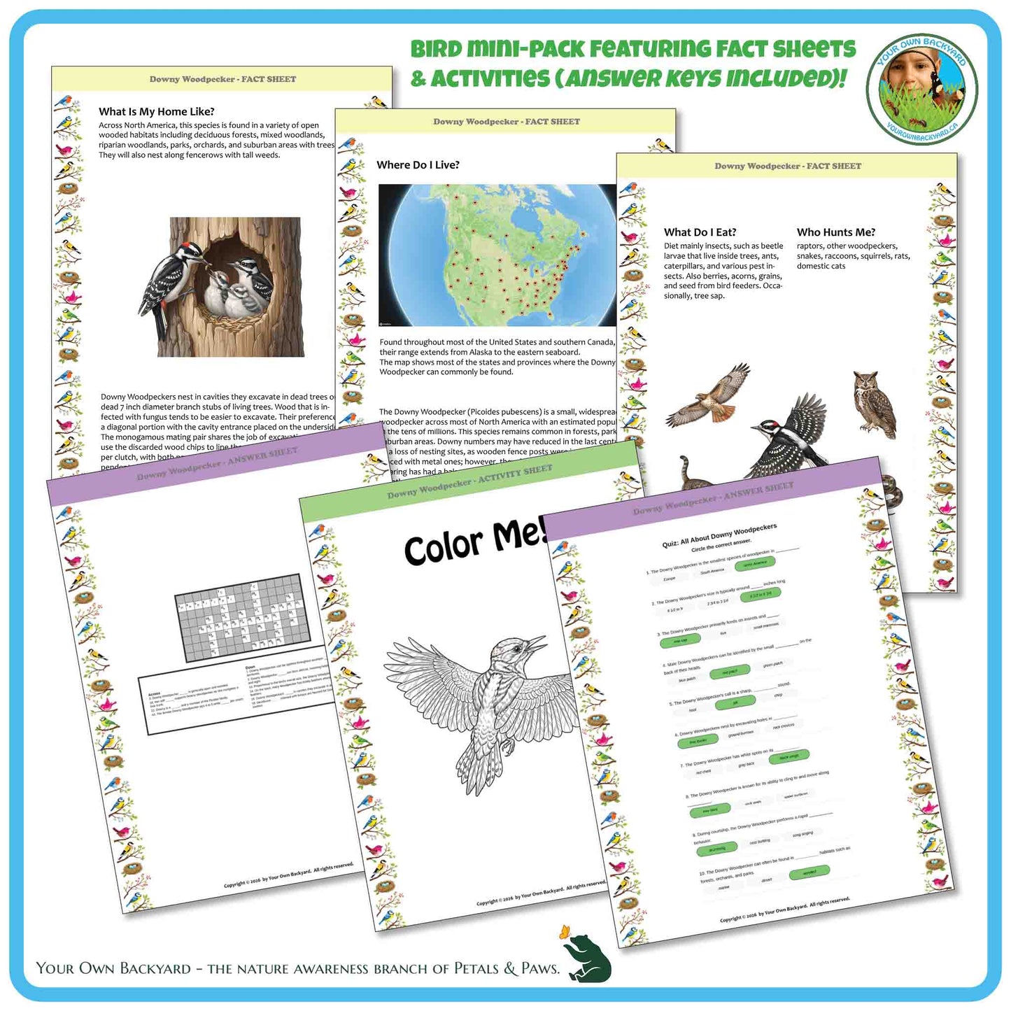 Bird mini-pack with fact sheets, activities, and coloring pages on a white background.