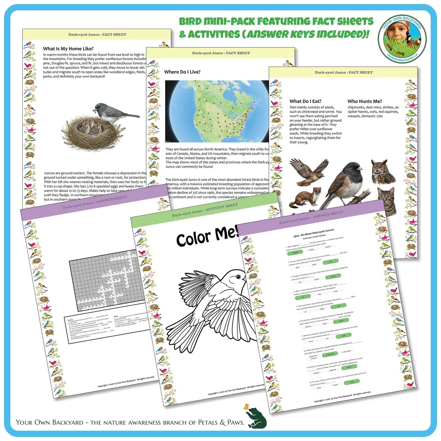 Bird education mini-pack with fact sheets, activities, and coloring pages on a blue border.