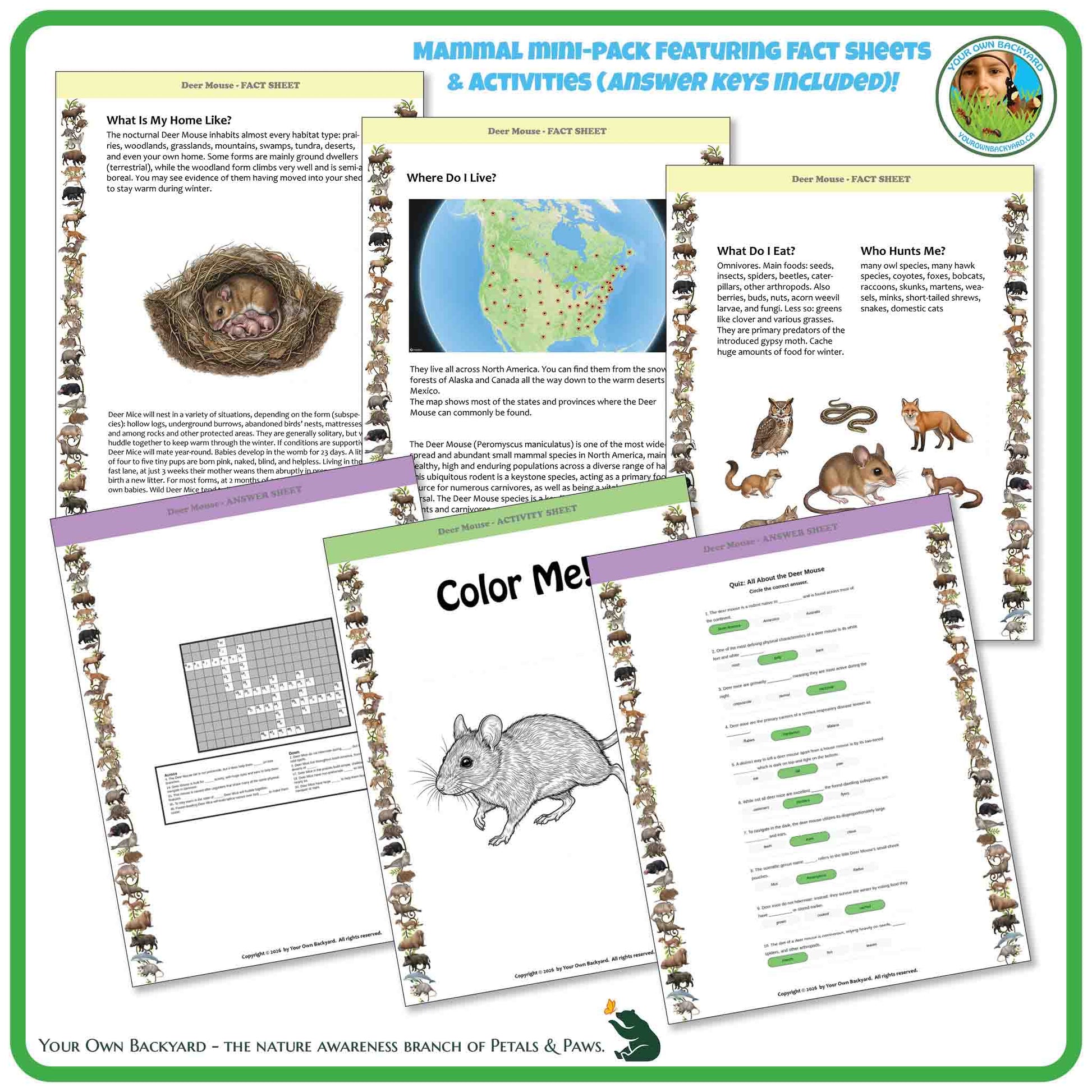 Educational materials on a white background with animal illustrations and text.