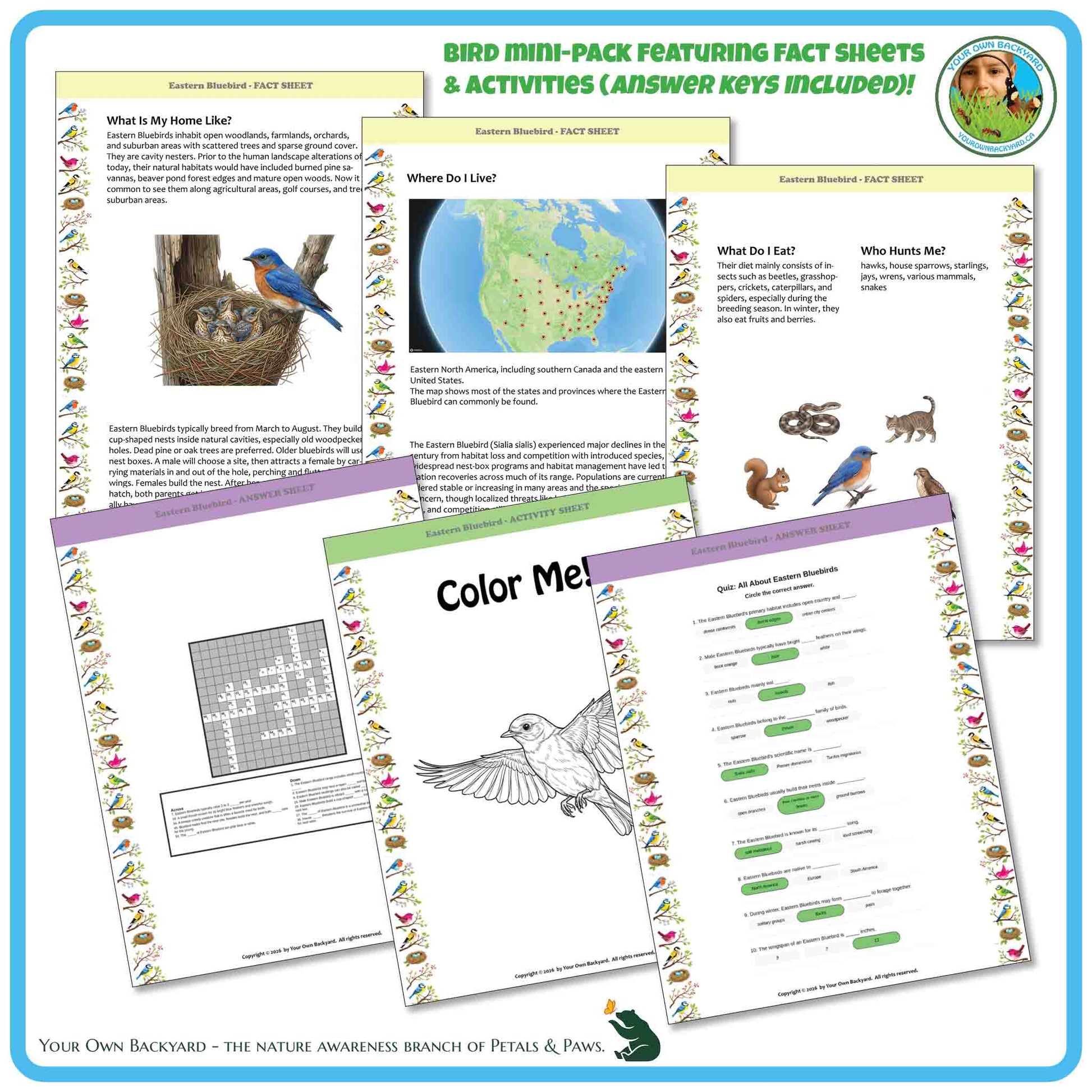 Bird mini-pack with fact sheets and activities on a blue border