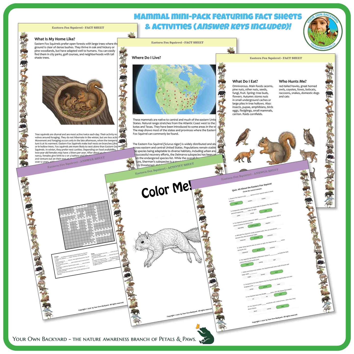 Educational materials for children featuring a squirrel on one of the pages.