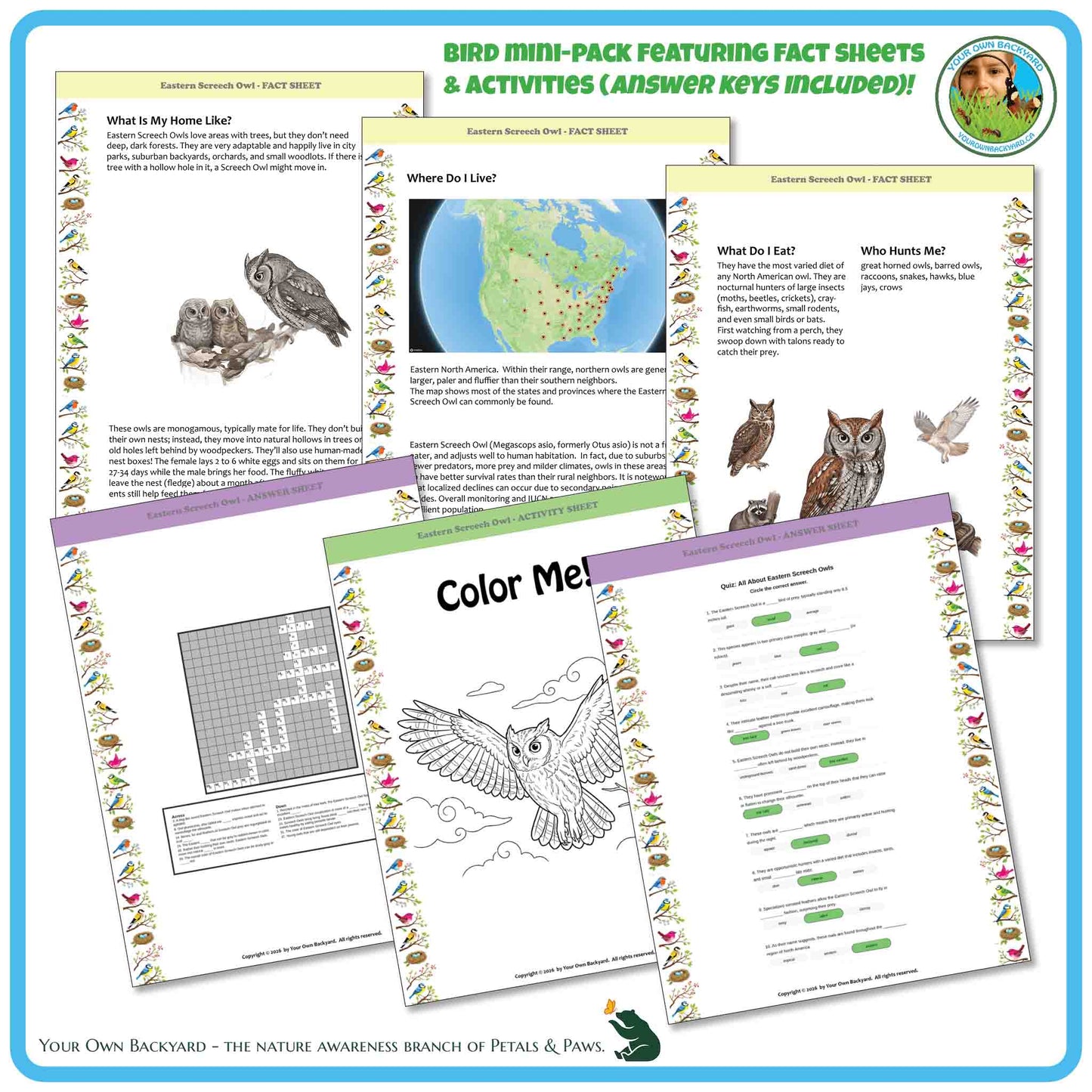 Educational materials on birds including fact sheets and coloring pages with owl illustrations.