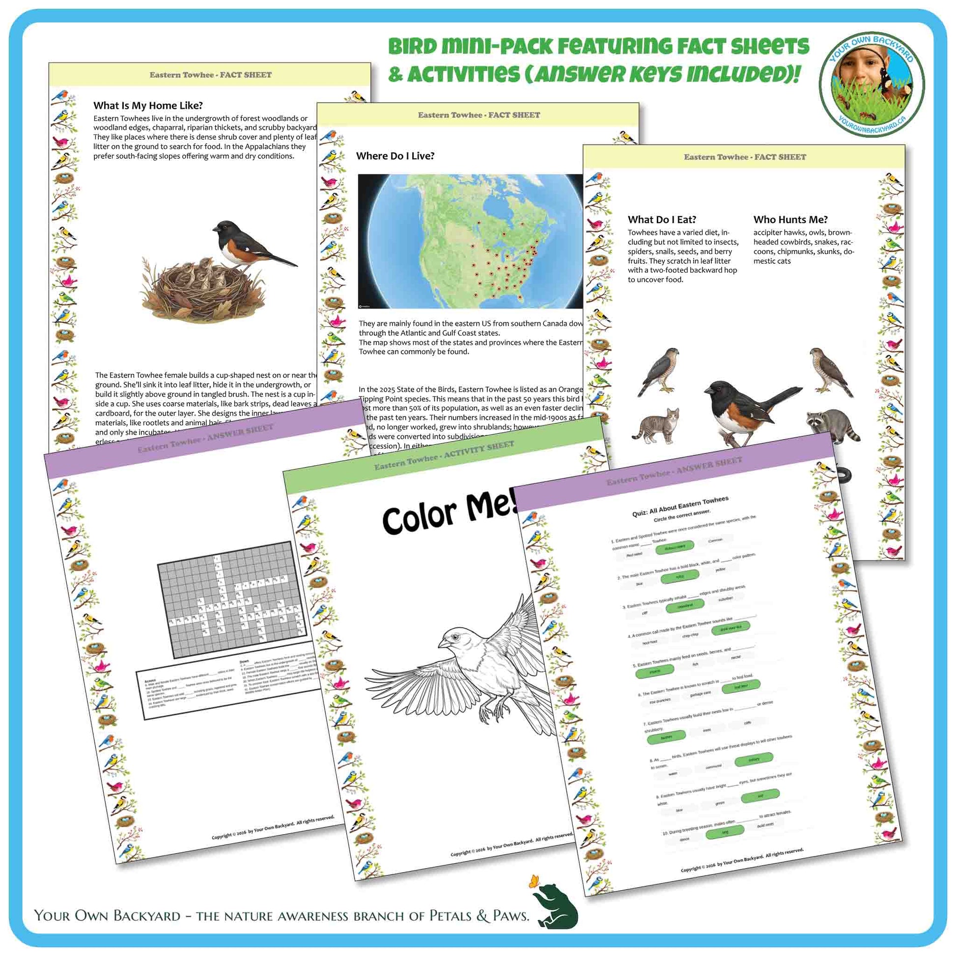 Bird mini-pack with fact sheets, activities, and coloring pages on a blue border.