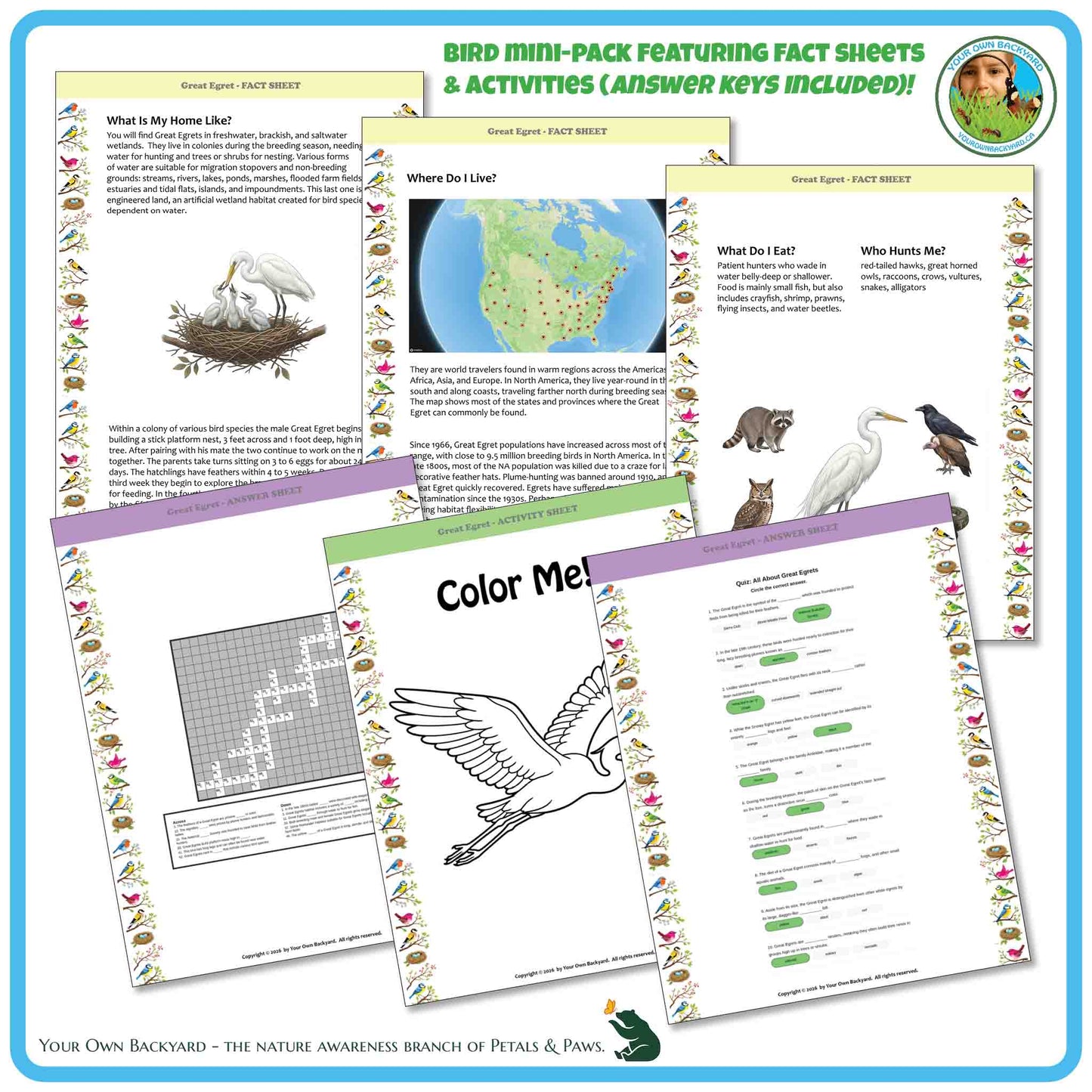 Educational materials on bird facts and activities with coloring page, maps, and text.