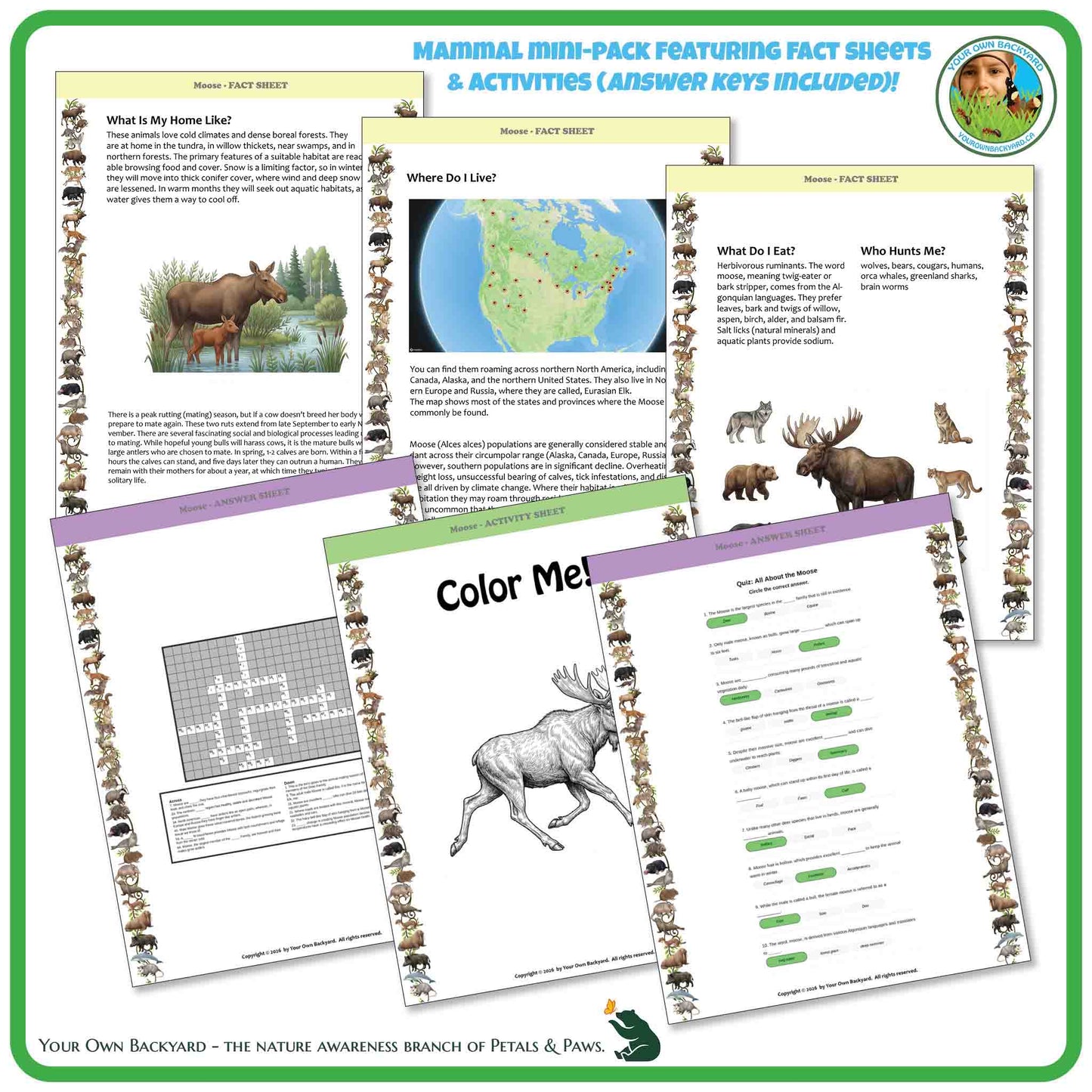 Educational worksheet pack featuring a moose on the cover with various activities and fact sheets.