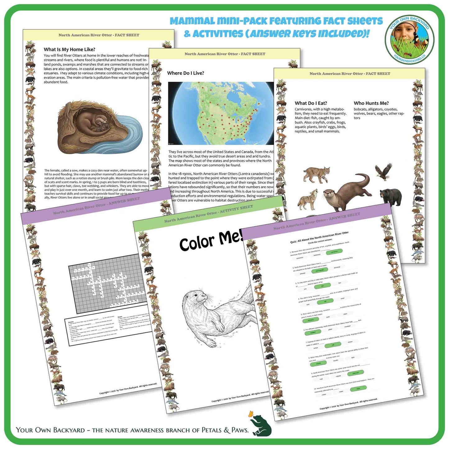 Educational materials for North American River Otters including fact sheets, activities, and coloring pages.