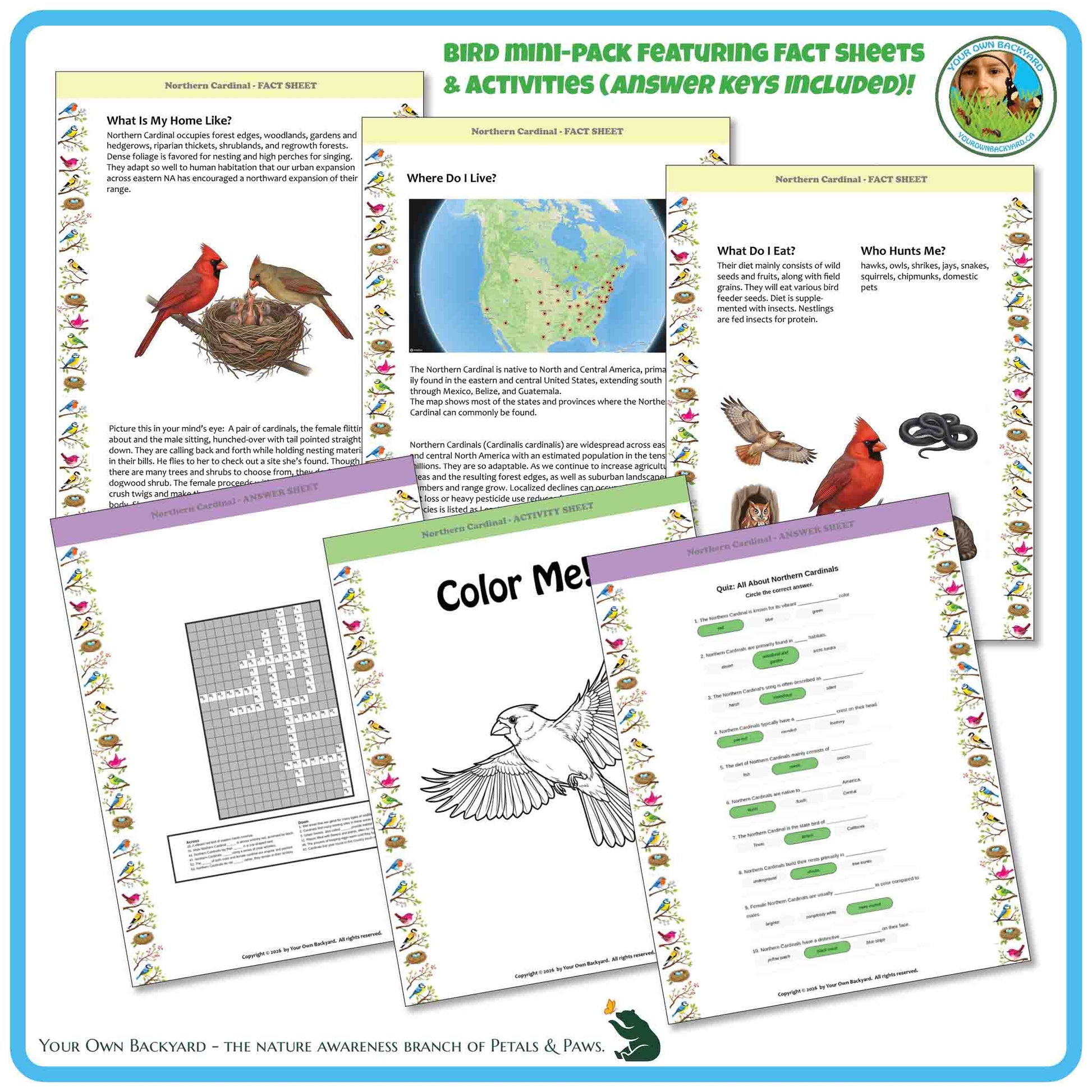 Bird education materials with fact sheets, coloring pages, and activities on a blue border.