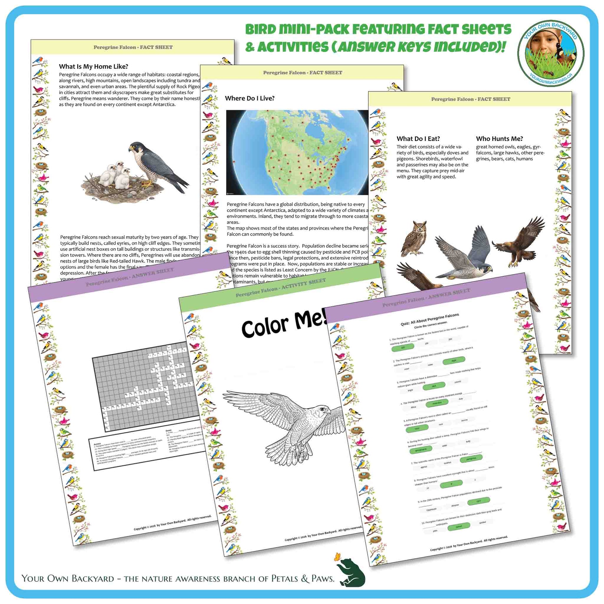 Bird mini-pack with fact sheets, activities, and coloring pages on a blue border.