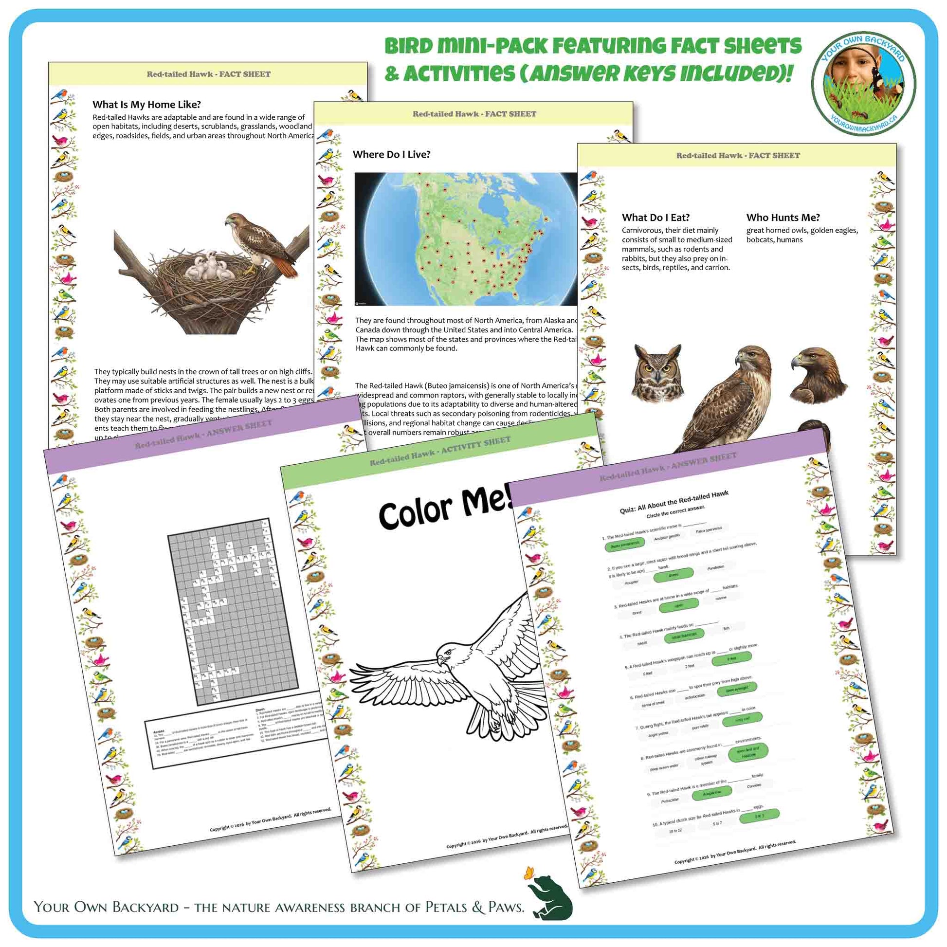 Bird mini-pack with fact sheets and activities on a blue border