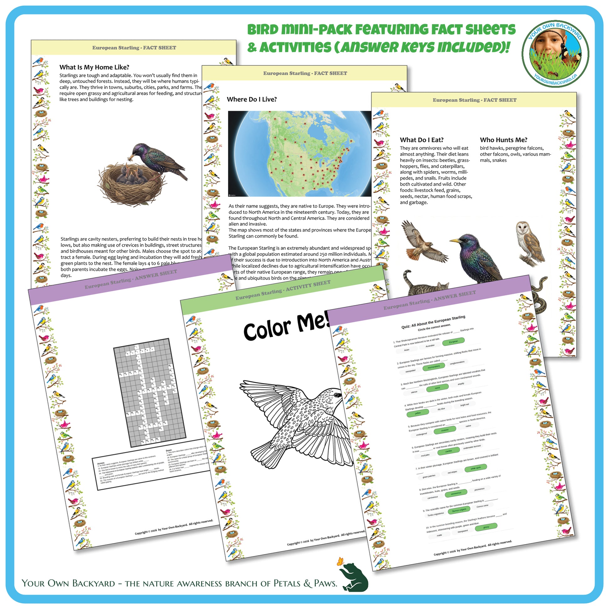 Bird education mini-pack with fact sheets, activities, and coloring pages on a blue border.