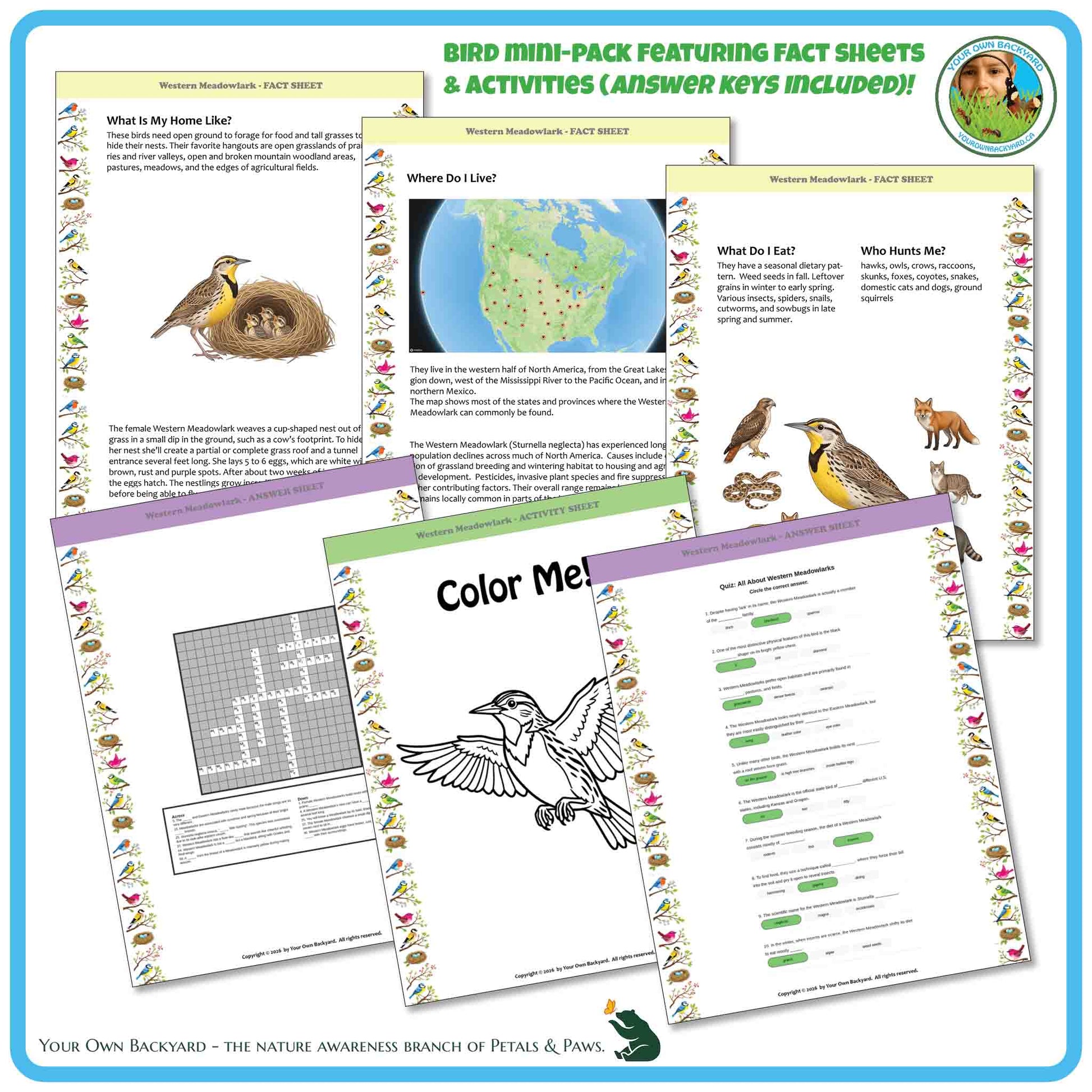 Bird mini-pack with fact sheets, activities, and coloring pages on a blue border.