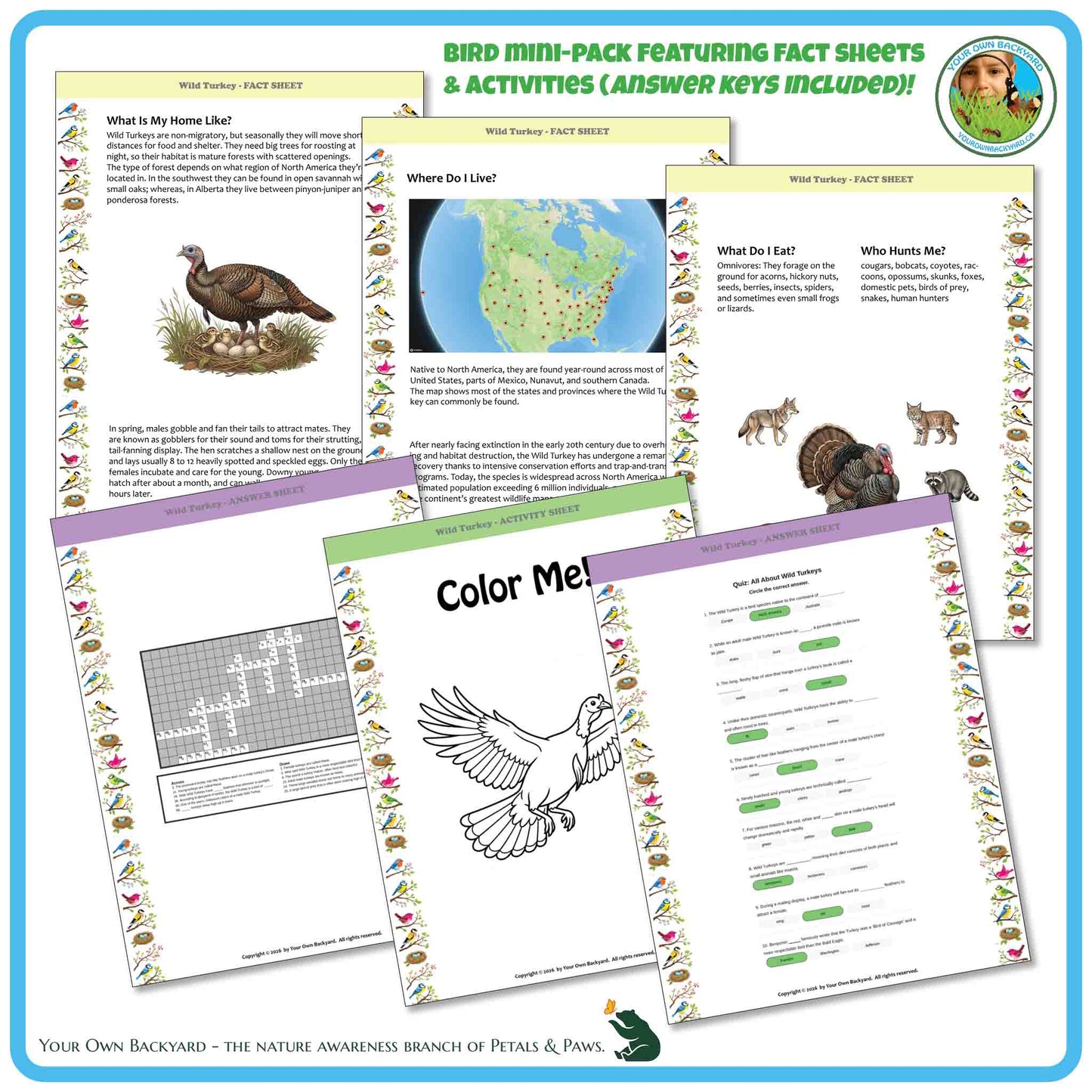 Educational materials with bird-themed activities and fact sheets on a blue border.