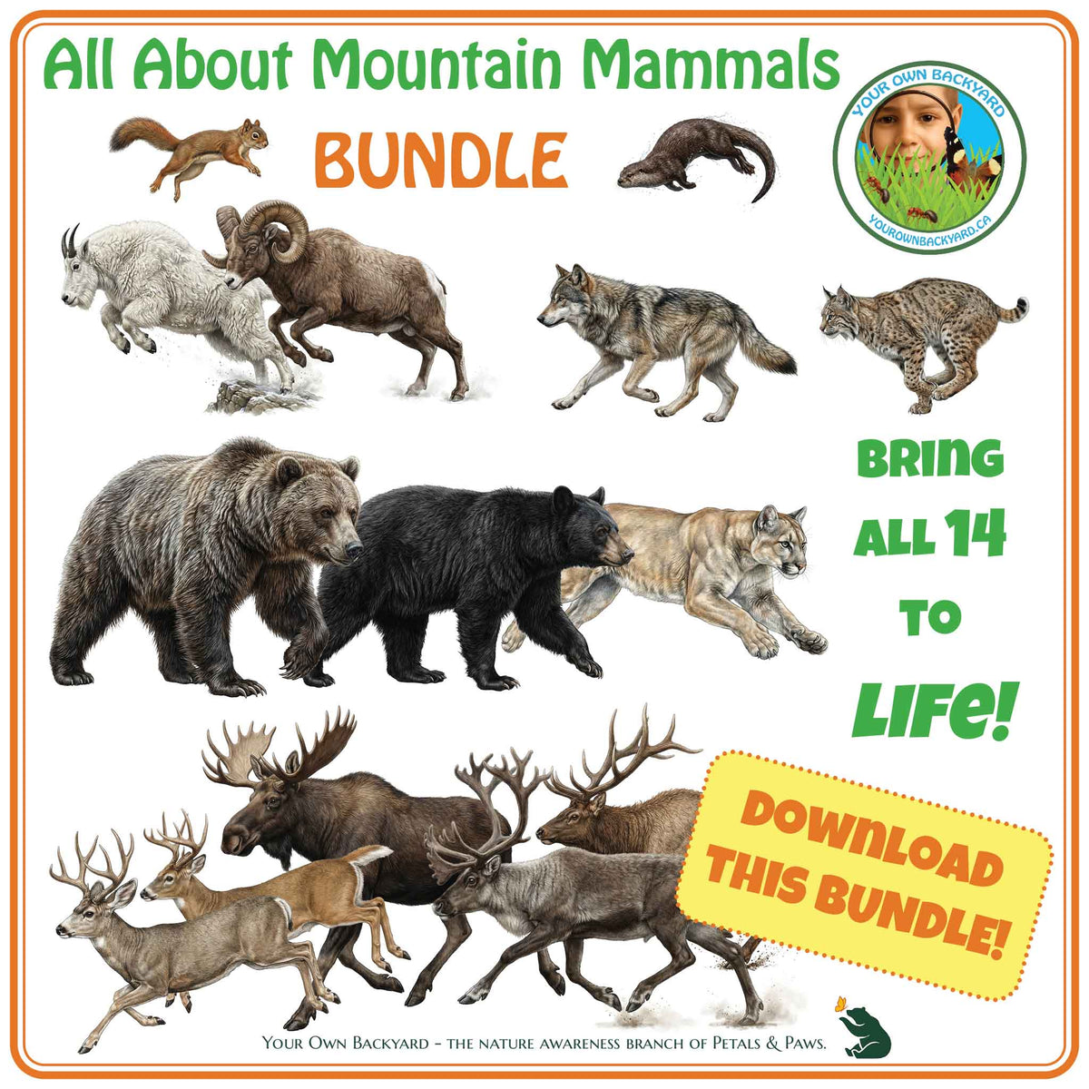 A product image for a downloadable bundle titled "All About Mountain Mammals BUNDLE," showing multiple illustrated mountain mammals including a black bear, bighorn sheep, mountain lion, moose, and eight others on a white background with green and orange text. A circular logo in the top right reads "Your Own Backyard - yourownbackyard.ca." A yellow badge says "Download this Bundle."