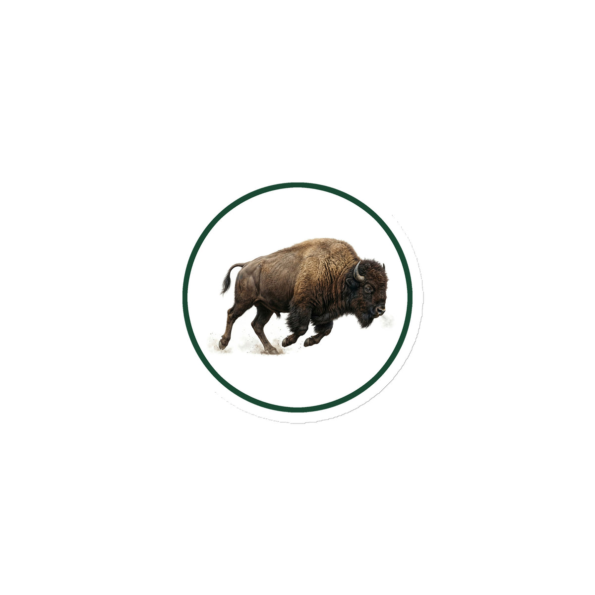 Product mockup of American Bison Circular Magnet, a 3" die-cut magnet featuring a realistic buffalo within a green circle.