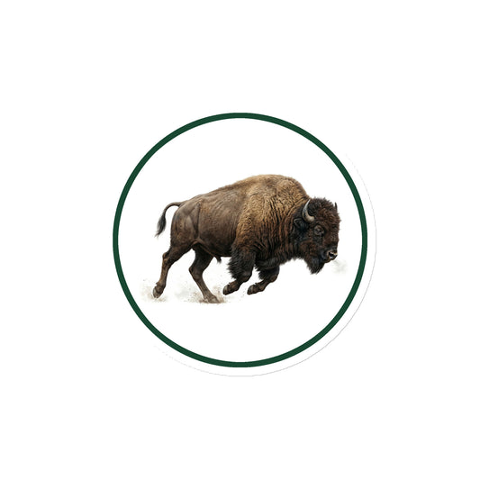 Product mockup of American Bison Circular Magnet, a 4" die-cut magnet featuring a realistic buffalo within a green circle.
