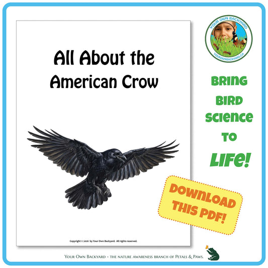 Product image for downloadable PDF, 'All About Birds - the American Crow', an elementary-level unit study product by Your Own Backyard | Petals & Paws.