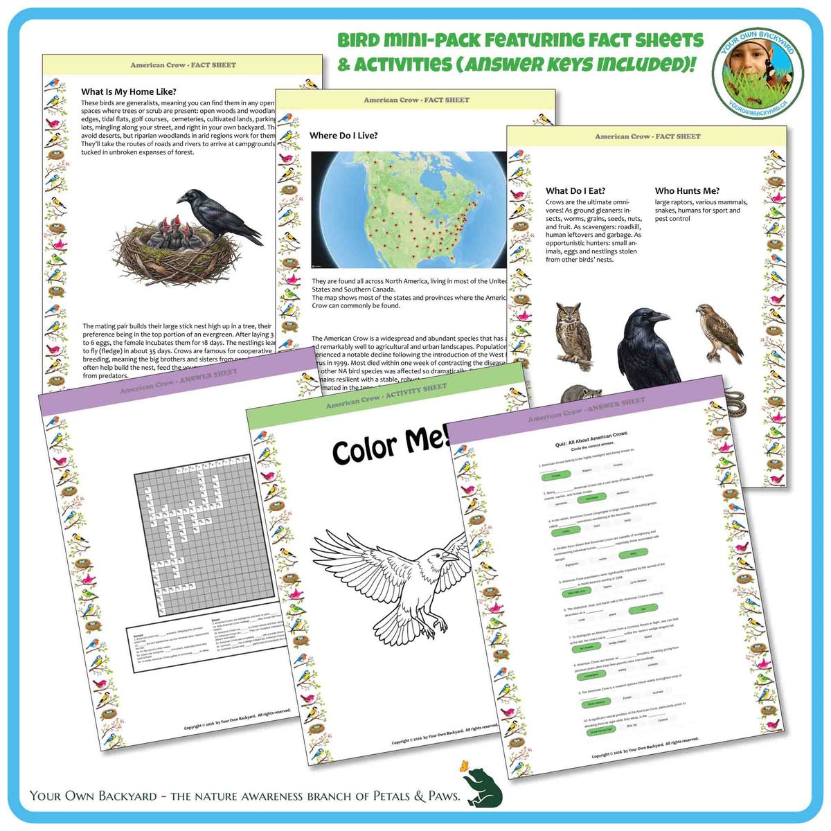 Internal pages of, 'All About Birds - the American Crow' downloadable PDF product, an elementary-level unit by Your Own Backyard | Petals & Paws. Pages include natural history fact sheets and various printable worksheets.