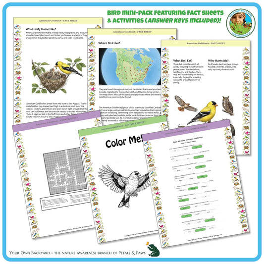 Internal pages of, 'All About Birds - the American Goldfinch' downloadable PDF product, an elementary-level unit by Your Own Backyard | Petals & Paws. Pages include natural history fact sheets and various printable worksheets.