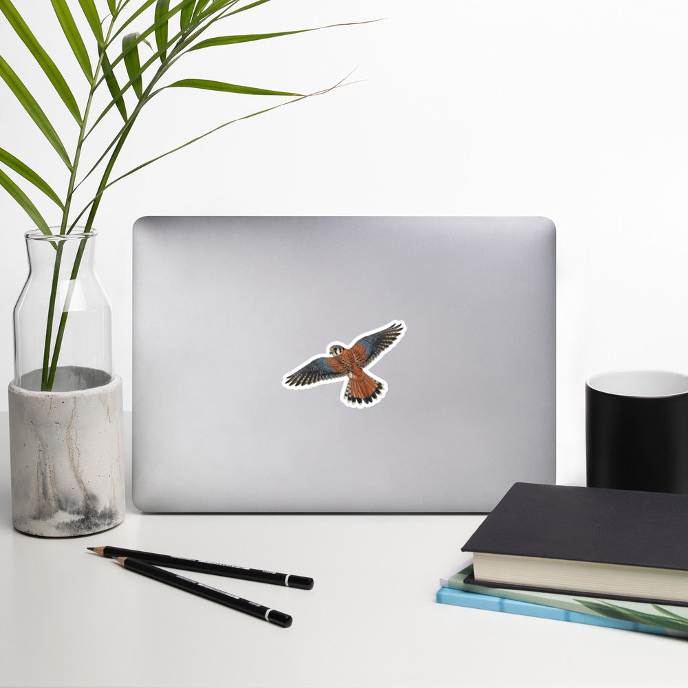 Product mockup of American kestrel sticker.  It is displayed on a laptop with various desk-related items surrounding.