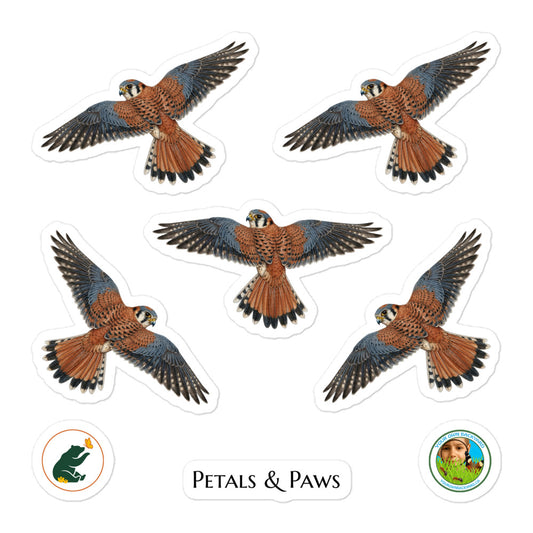Product mockup of a sheet of five 2.5" wide American Kestrel kiss-cut stickers. This sheet features realistic, illustrated American Kestrel, along with Petals & Paws and Your Own Backyard logo stickers.