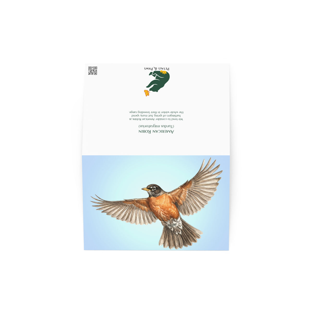 The American Robin Greeting Card, open, showing front and back. The front features a realistic robin flying against a clear blue sky. The back features interesting fact and Petals & Paws logo. 