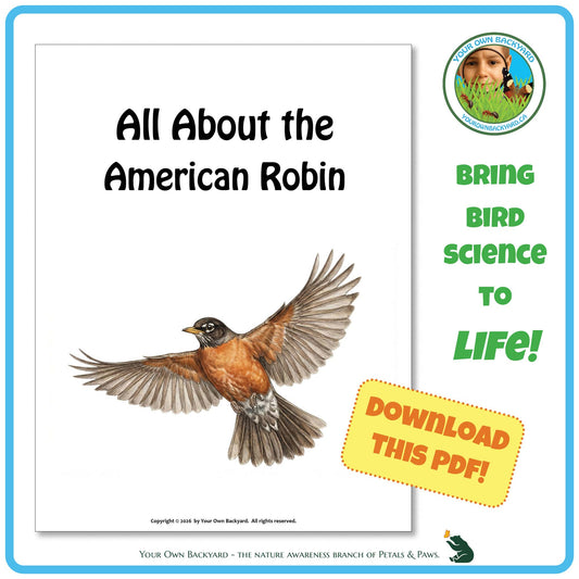 Product image for downloadable PDF, 'All About Birds - the American Robin', an elementary-level unit study product by Your Own Backyard | Petals & Paws.