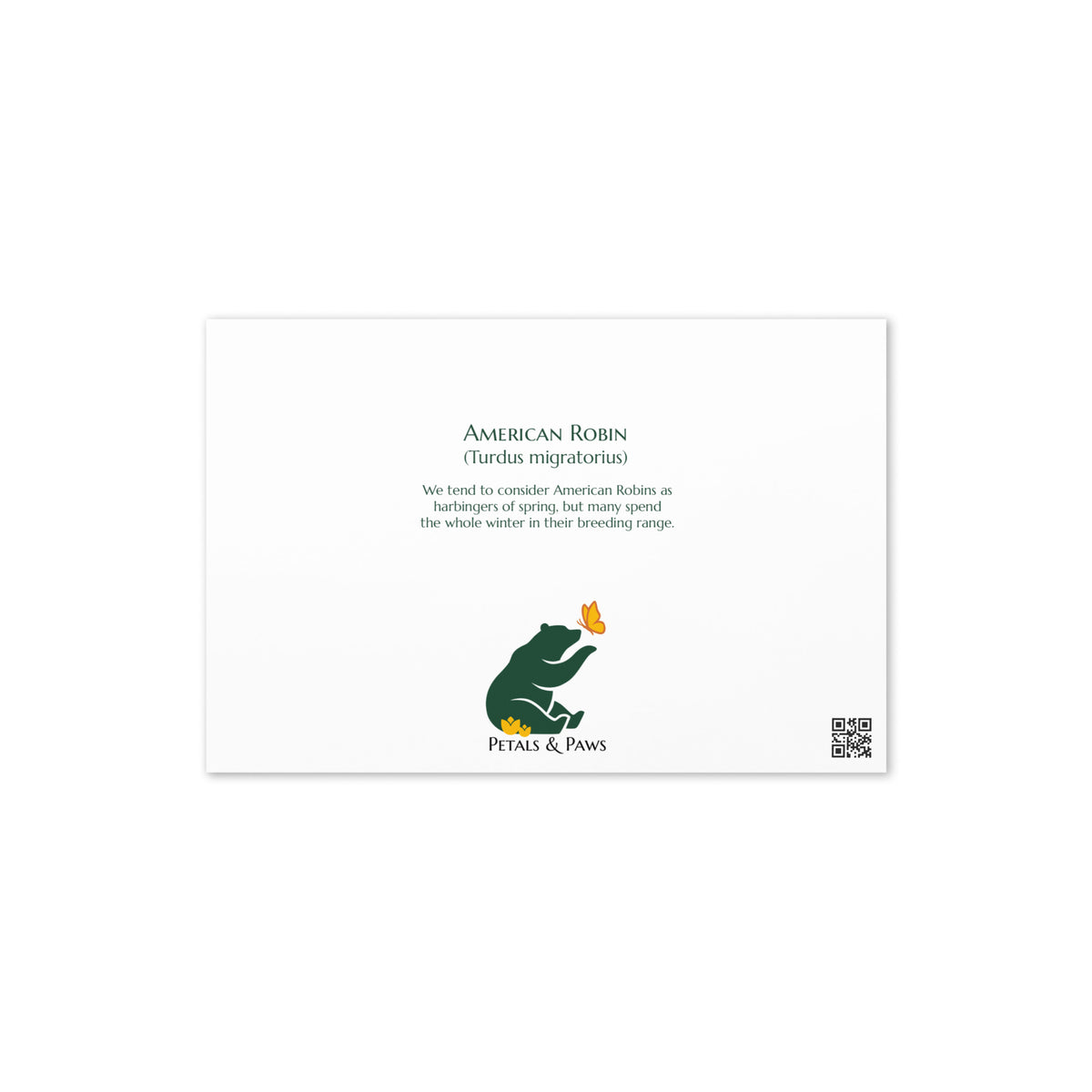 Product mockup, the back of American Robin Greeting Card, featuring the bird's common and scientific name and a small, interesting fact. Petals & Paws logo is below, positioned in the middle.