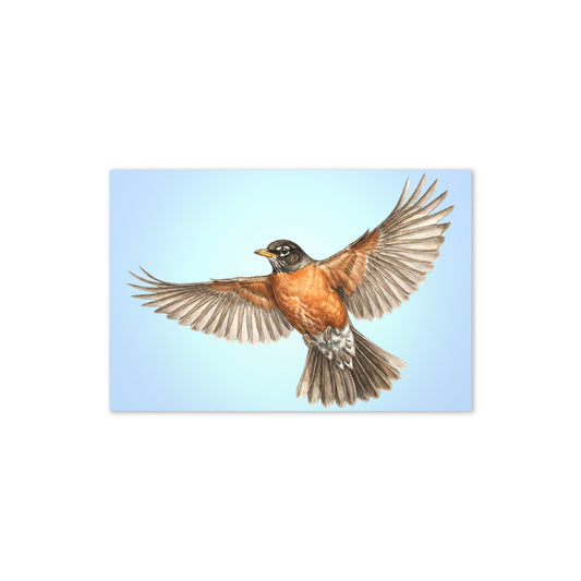 Product mockup flat-lay of American Robin Greeting Card, with a realistic flying robin against a clear blue sky.