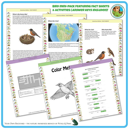 Internal pages of, 'All About Birds - the American Robin' downloadable PDF product, an elementary-level unit by Your Own Backyard | Petals & Paws. Pages include natural history fact sheets and various printable worksheets.