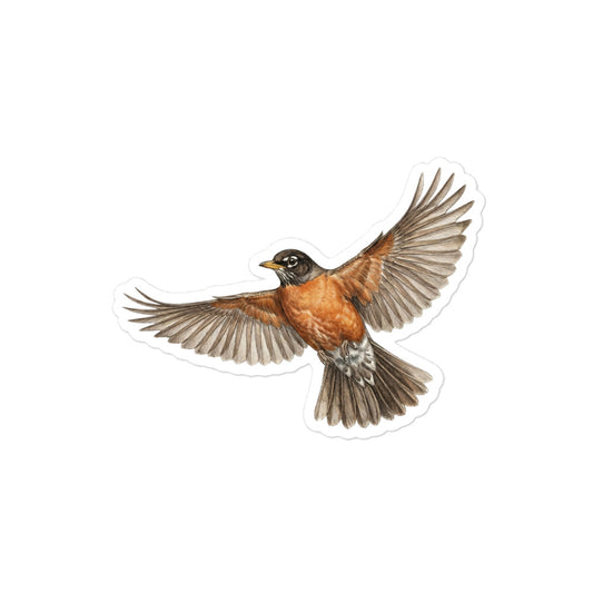 Product mockup of realistic, illustrated American Robin kiss-cut sticker.