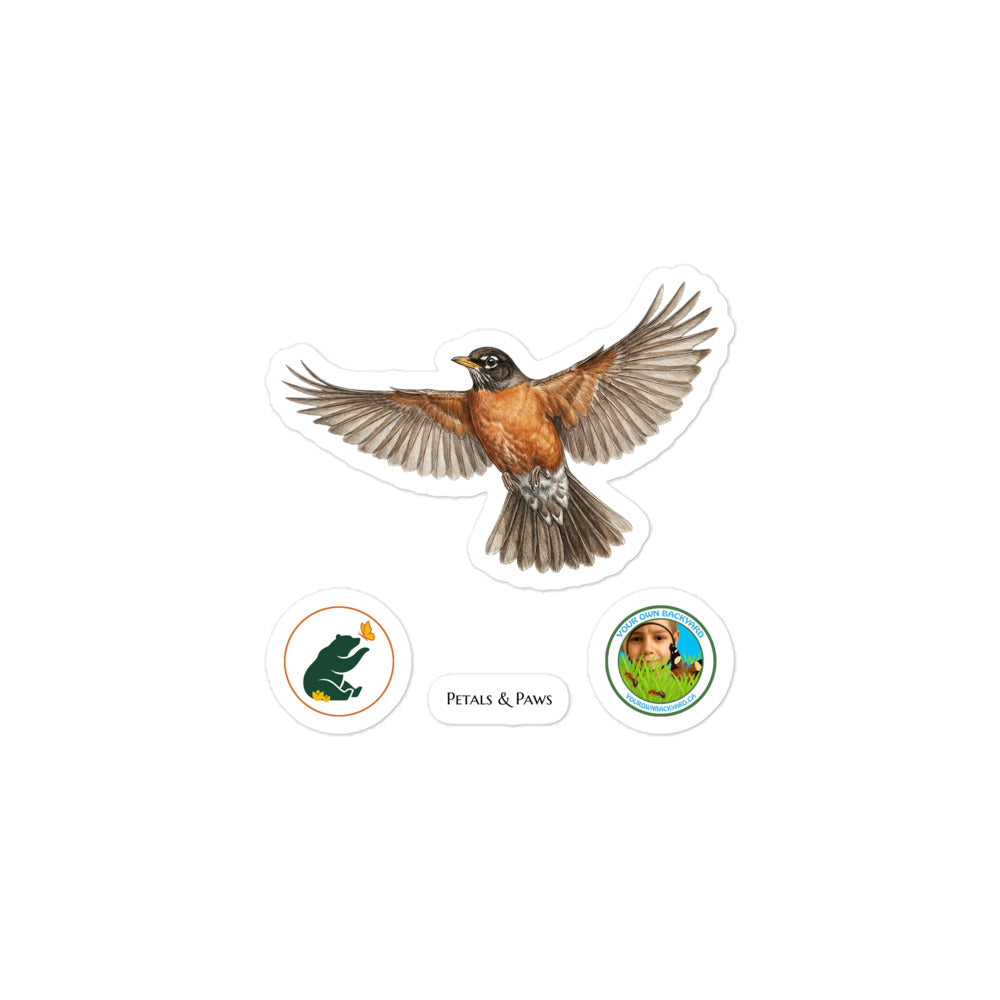 Product mockup of 3" wide American Robin kiss-cut sticker. This sheet features realistic, illustrated American Robin, along with Petals & Paws and Your Own Backyard logo stickers.